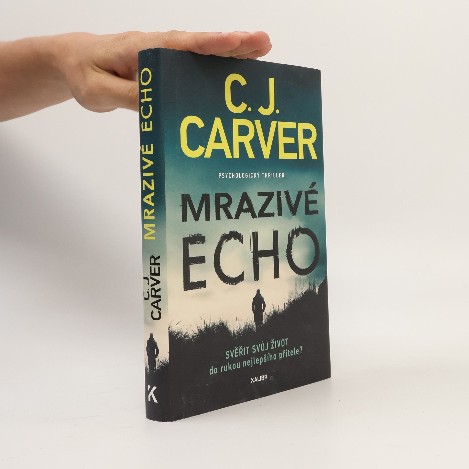 CJ Carver Mrazivé echo