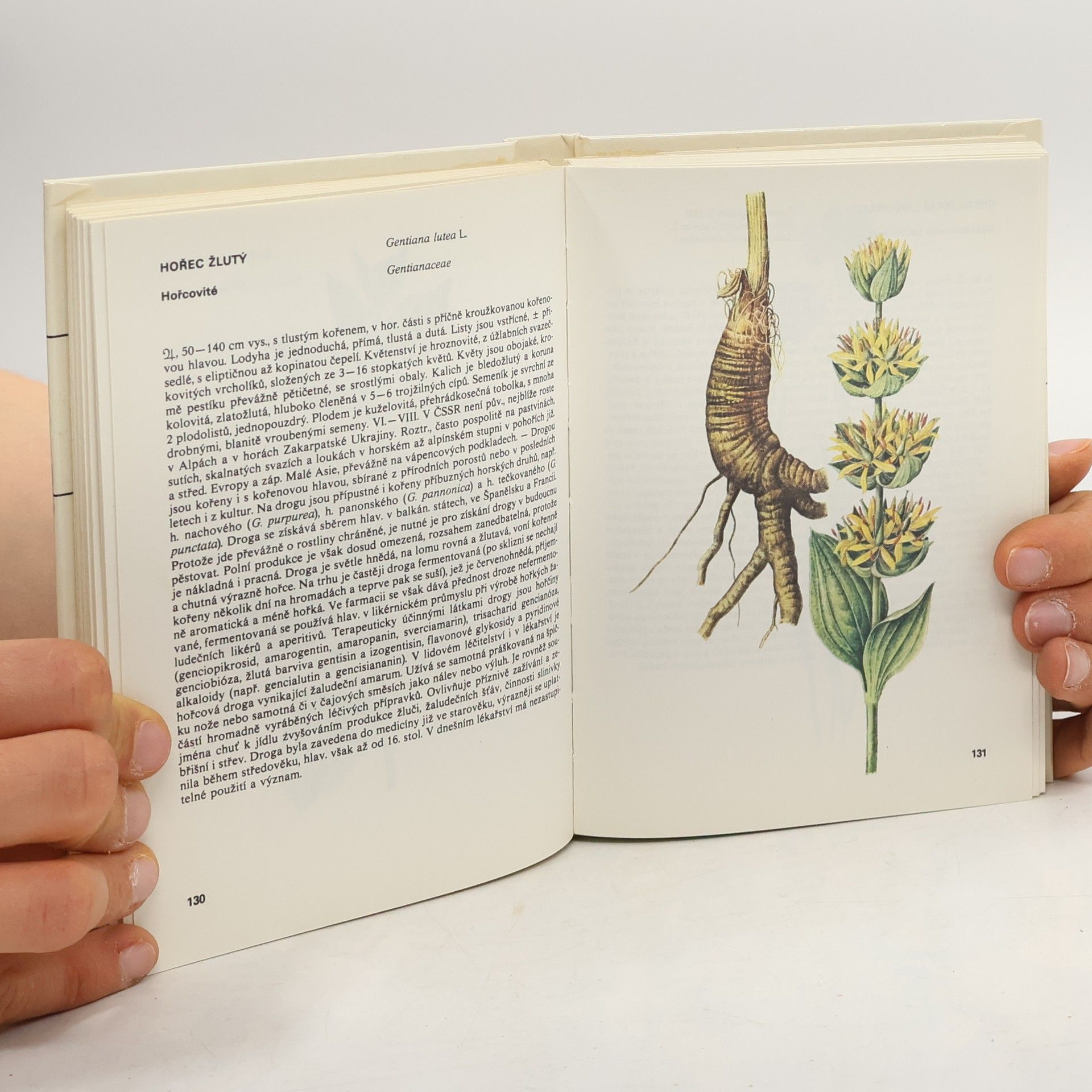 Václav Jirásek Kapesní atlas léčivých rostlin