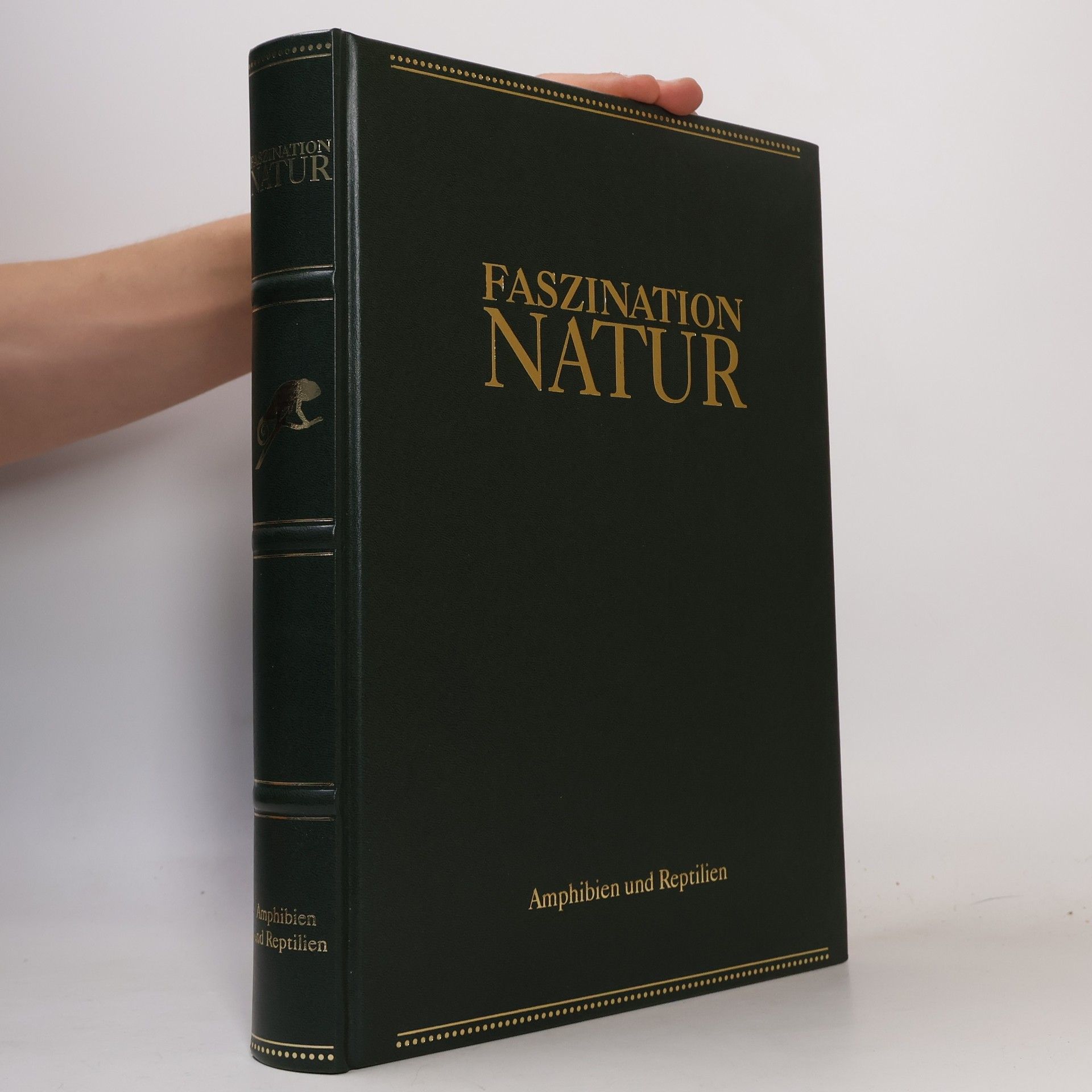 Various authors Faszination Natur. Amphibien und Reptilien