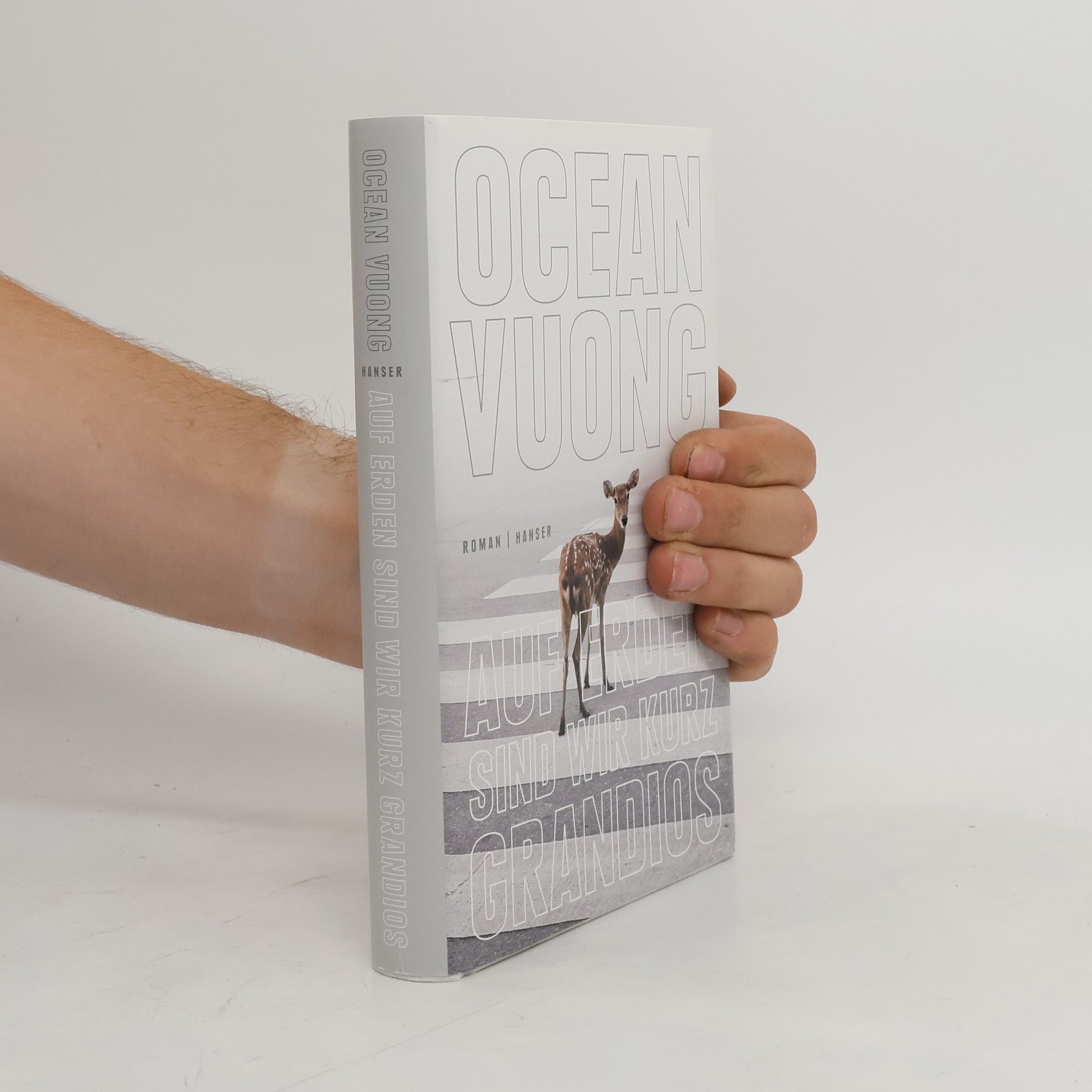Ocean Vuong Auf Erden sind wir kurz grandios