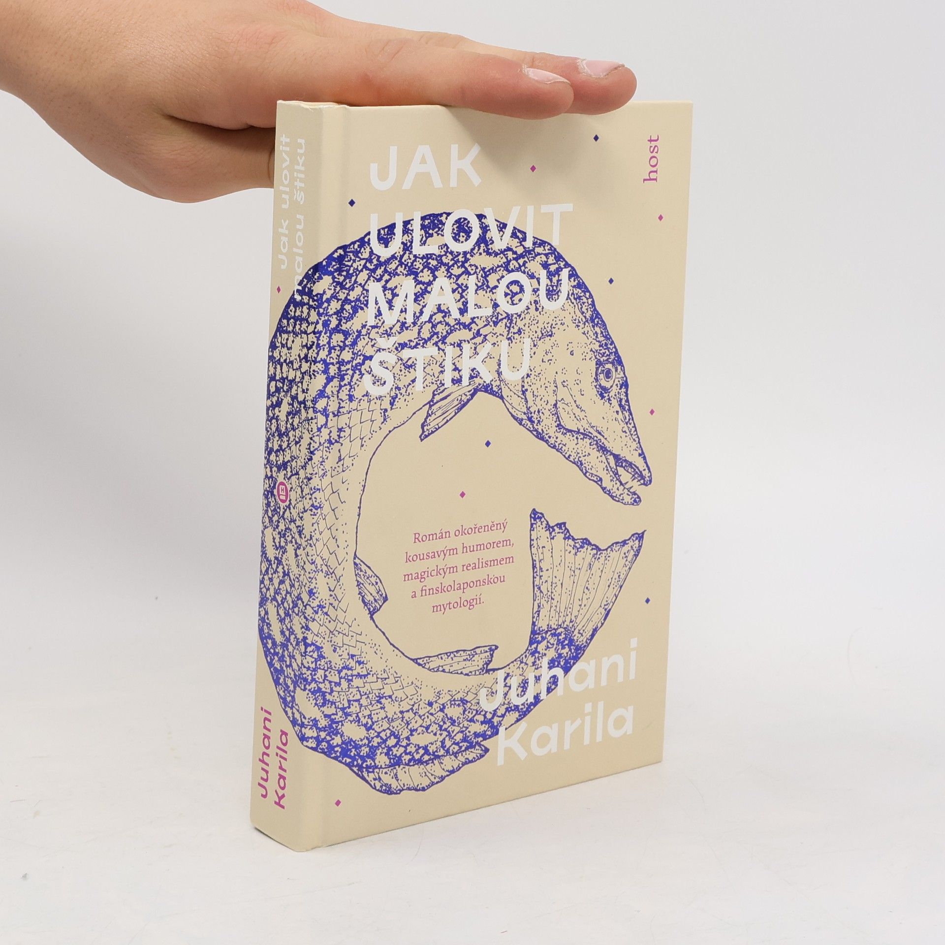 Juhani Karila Jak ulovit malou štiku