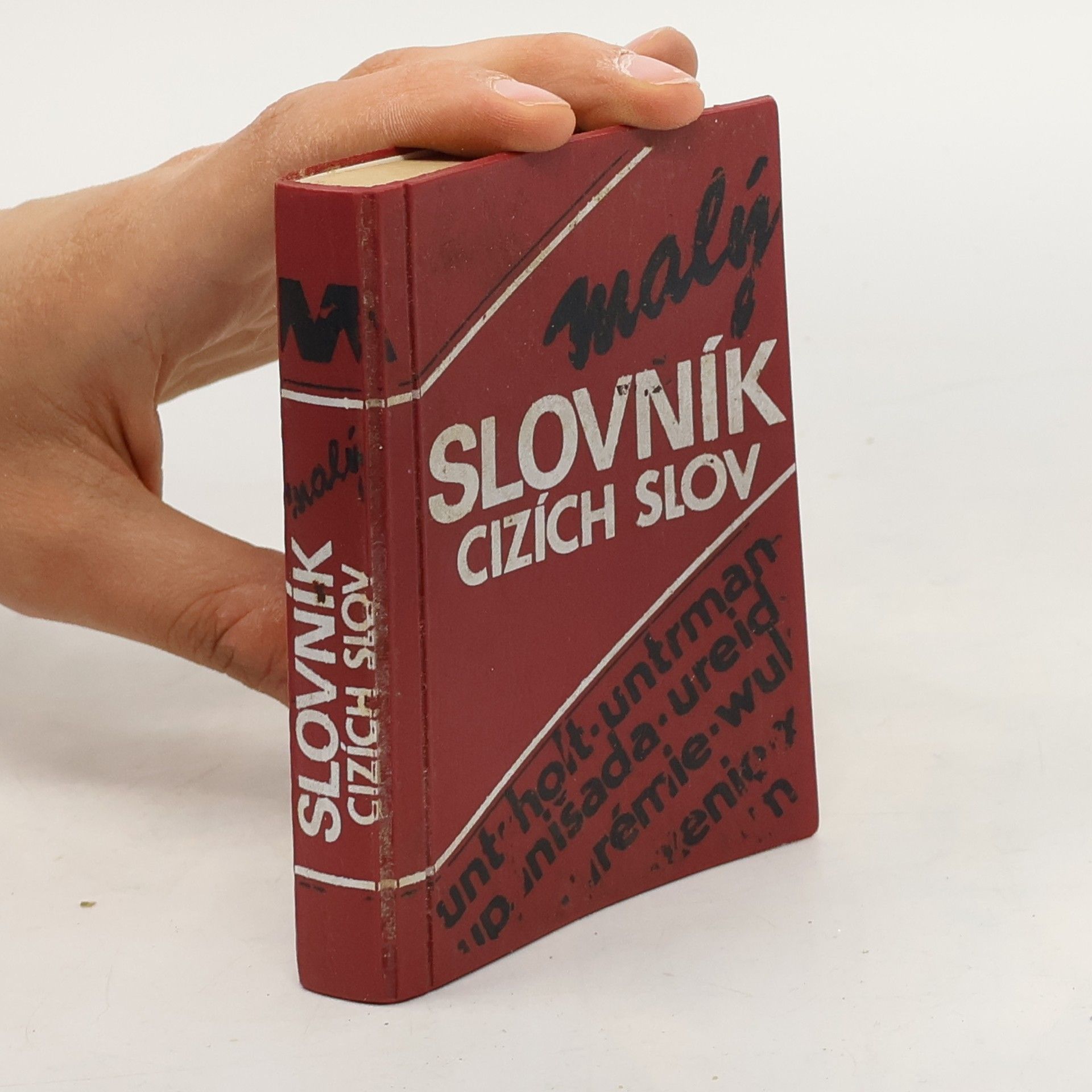 Autorenkollektiv Malý slovník cizích slov