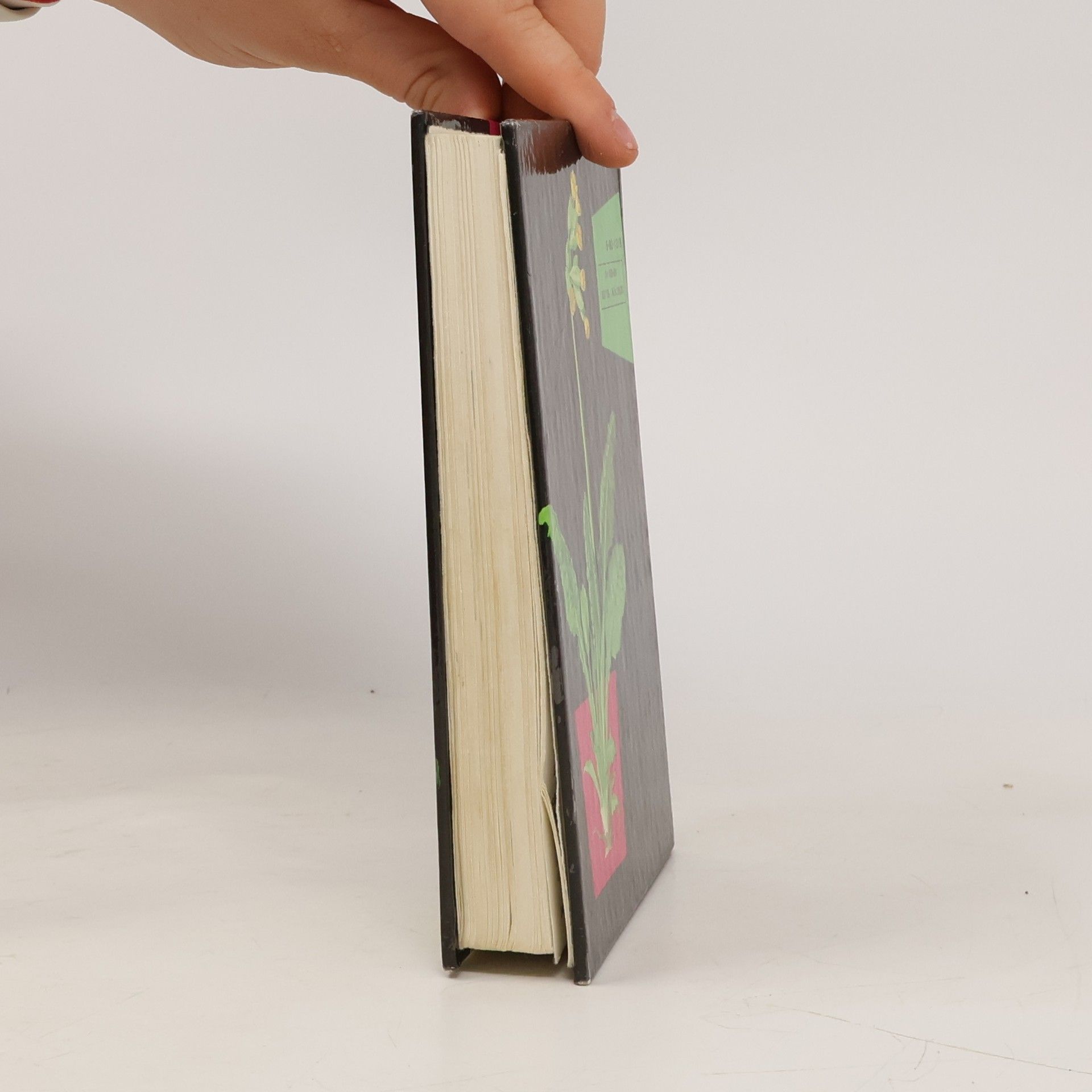 Albert Pilát Kapesní atlas rostlin