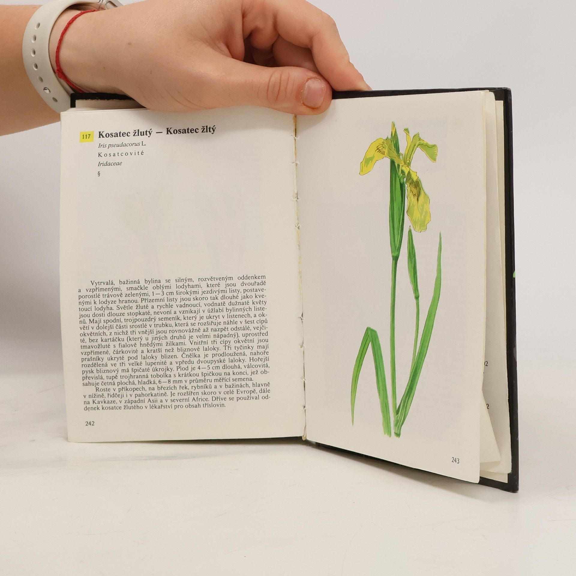 Albert Pilát Kapesní atlas rostlin