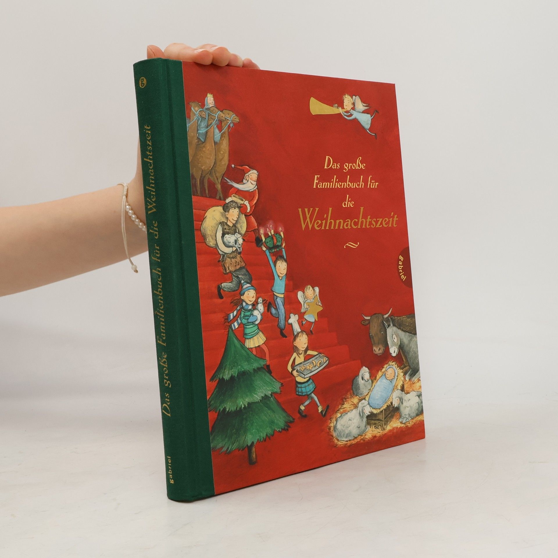 Das große Familienbuch für die Weihnachtszeit