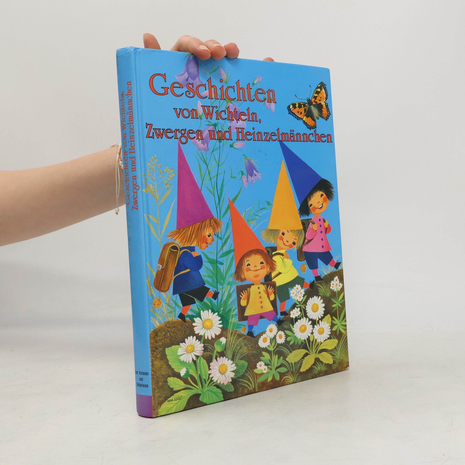 Gisela Fischer-Lingat Geschichten von Wichteln, Zwergen und Heinzelmännchen