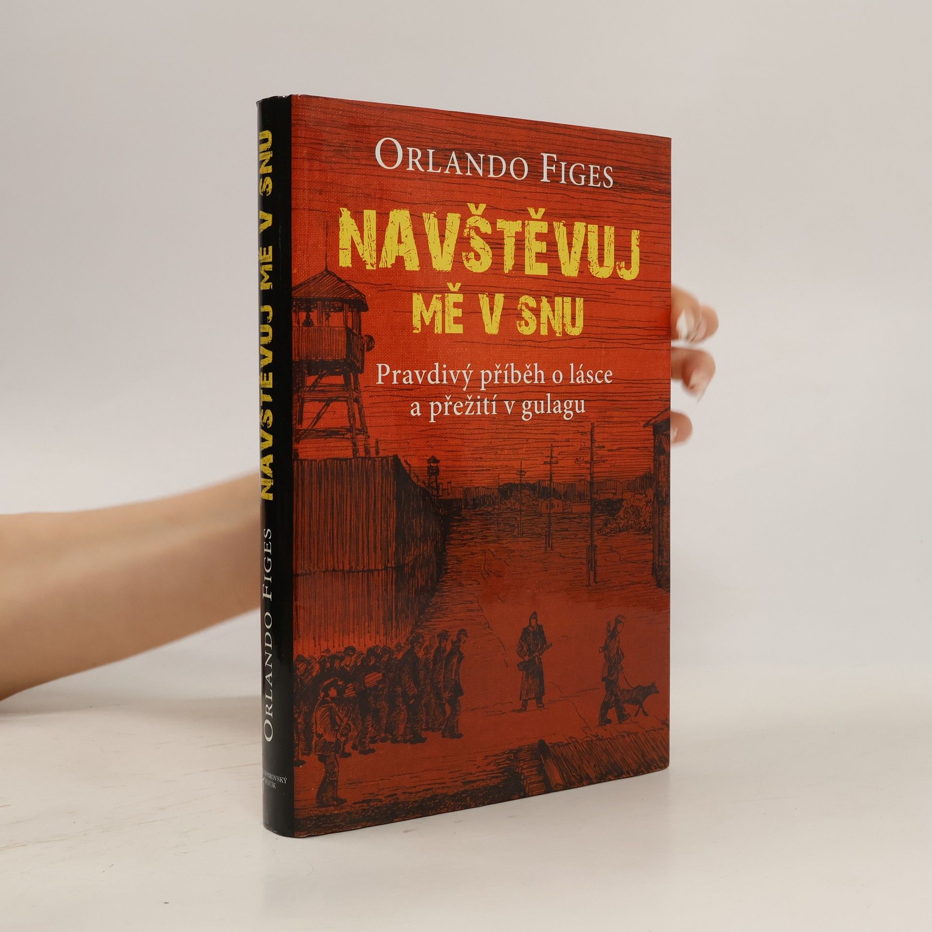 Navštěvuj mě v snu : pravdivý příběh o lásce a přežití v gulagu