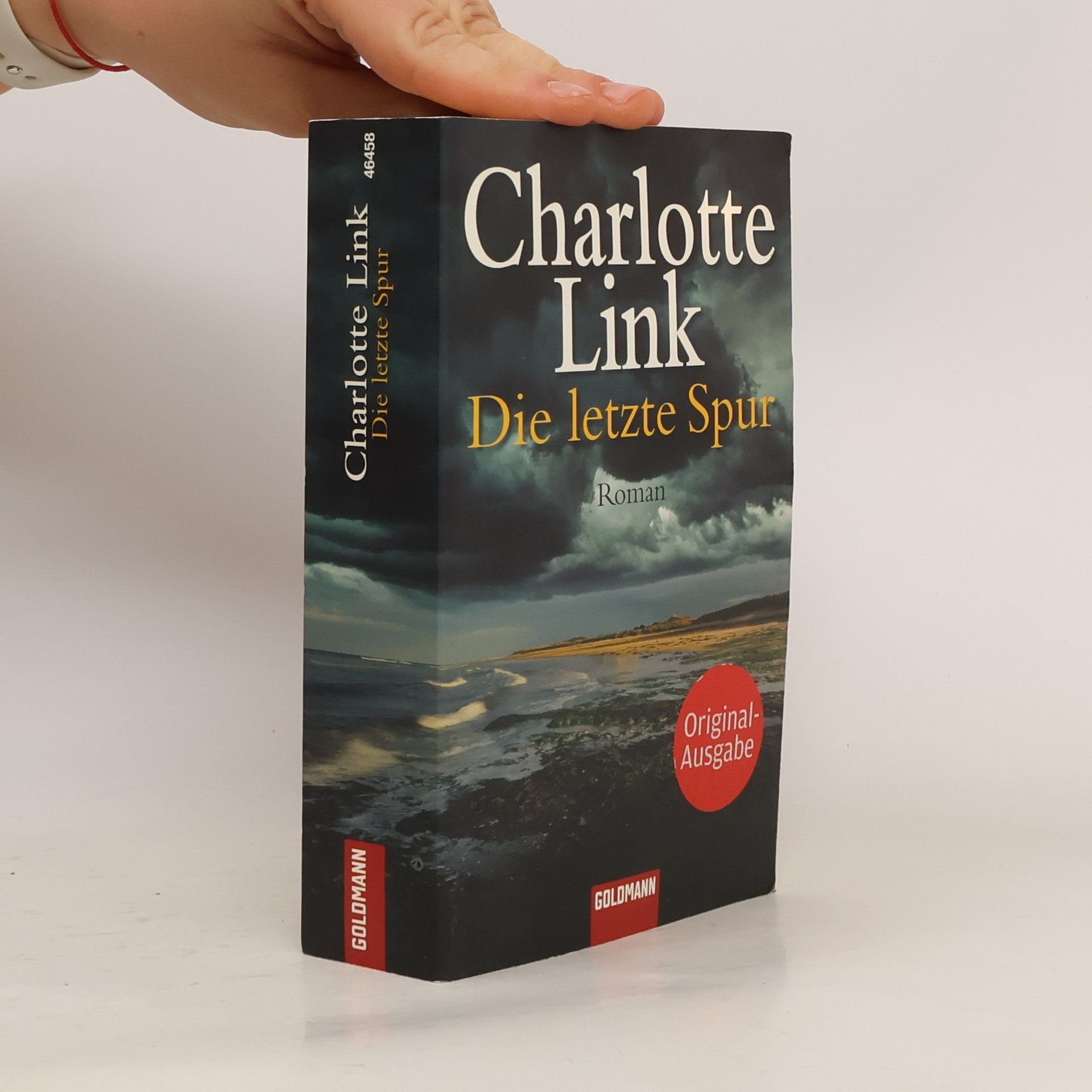 Charlotte Link Die letzte Spur