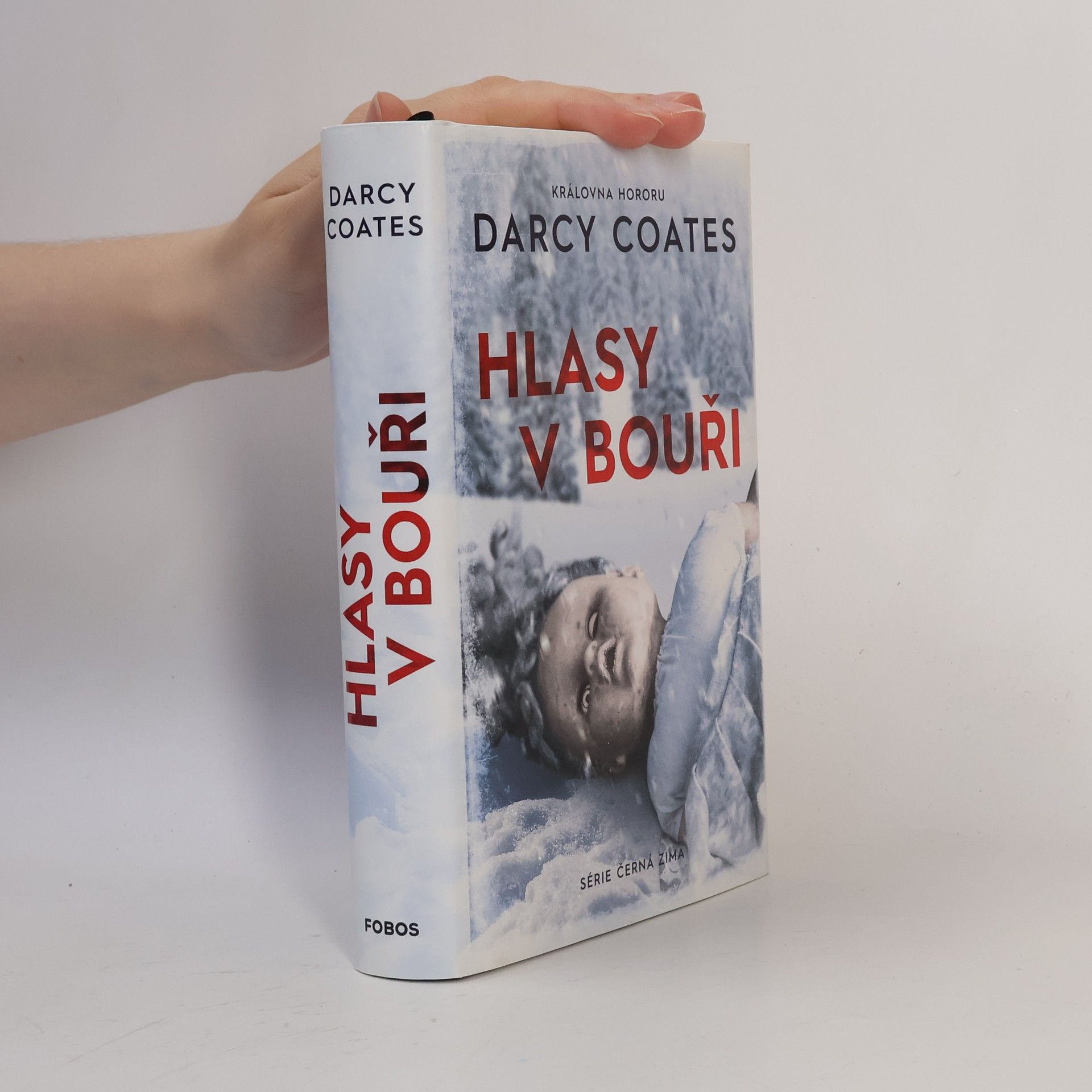 Darcy Coates Hlasy v bouři