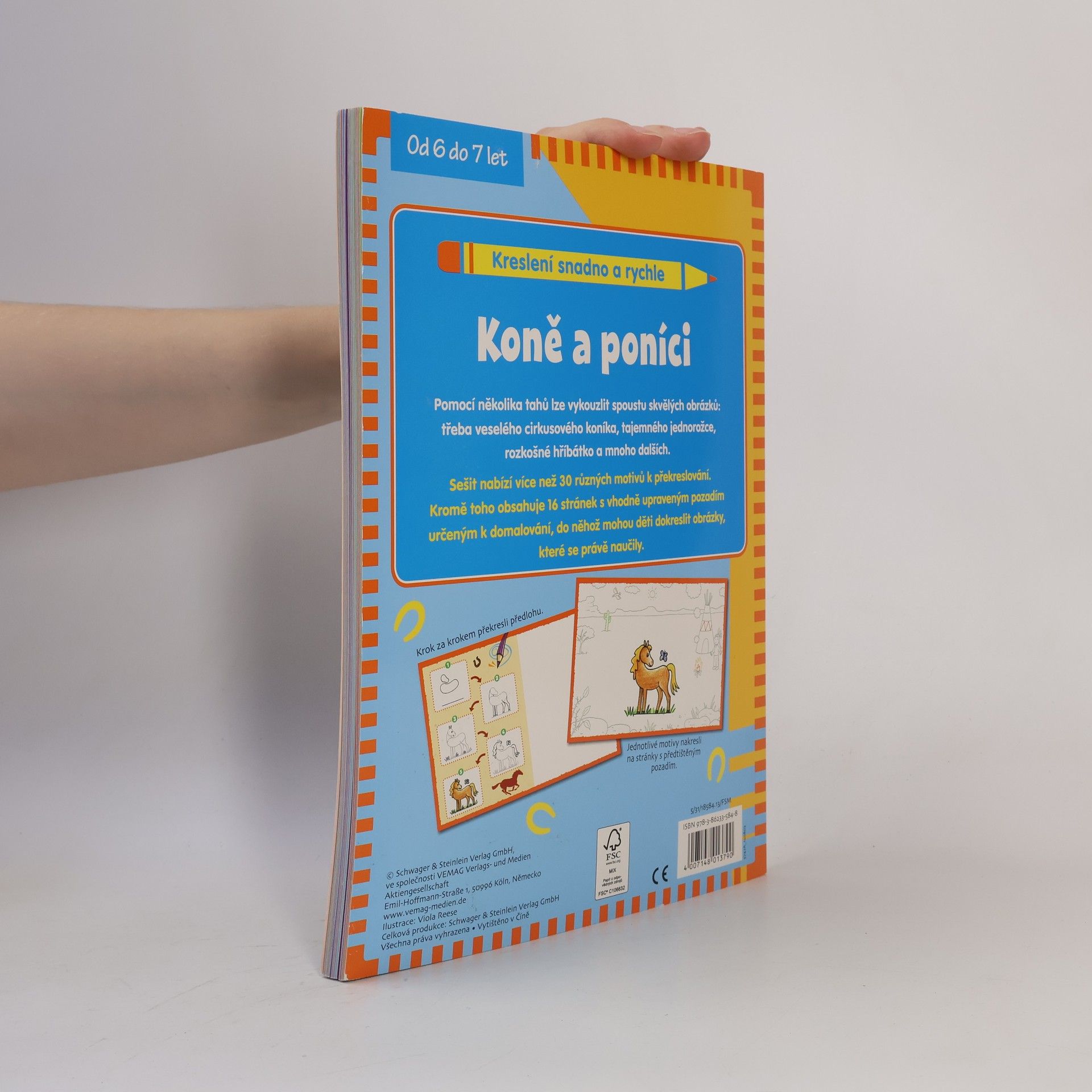 Autorenkollektiv Koně a poníci - kreslíme snadno a rychle