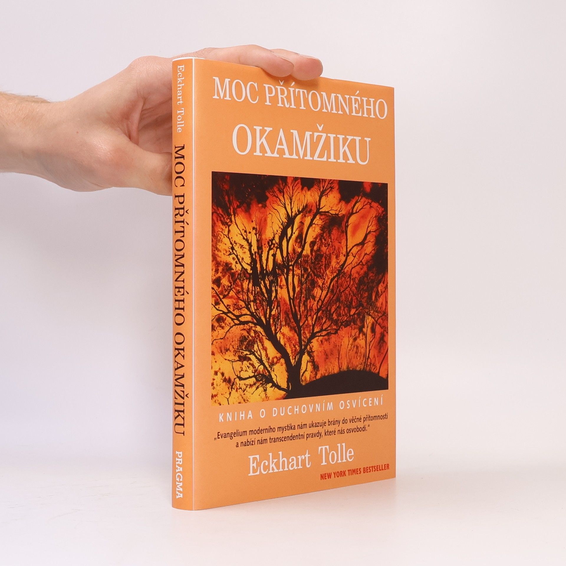 Eckhart Tolle Moc přítomného okamžiku
