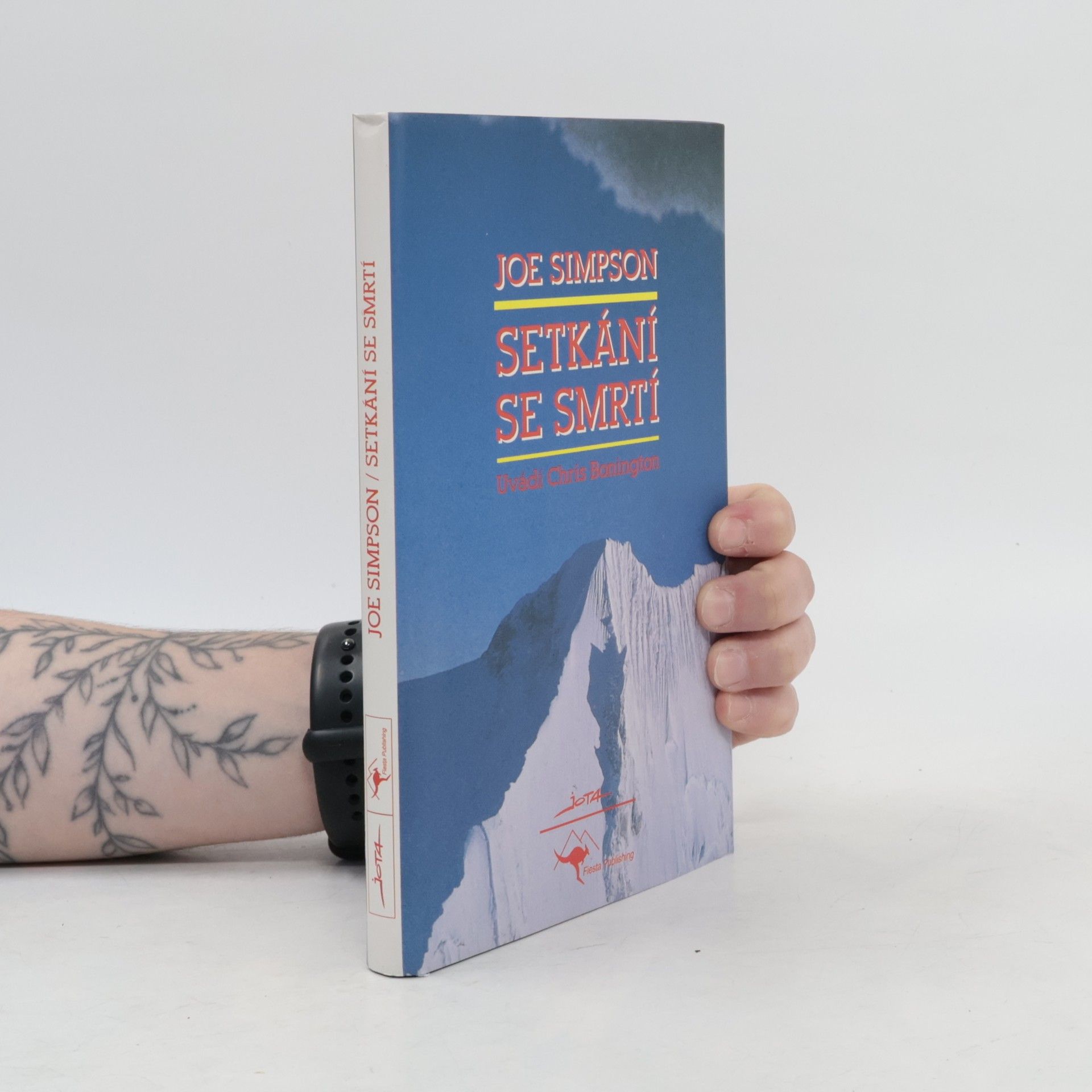 Joe Simpson Setkání se smrtí