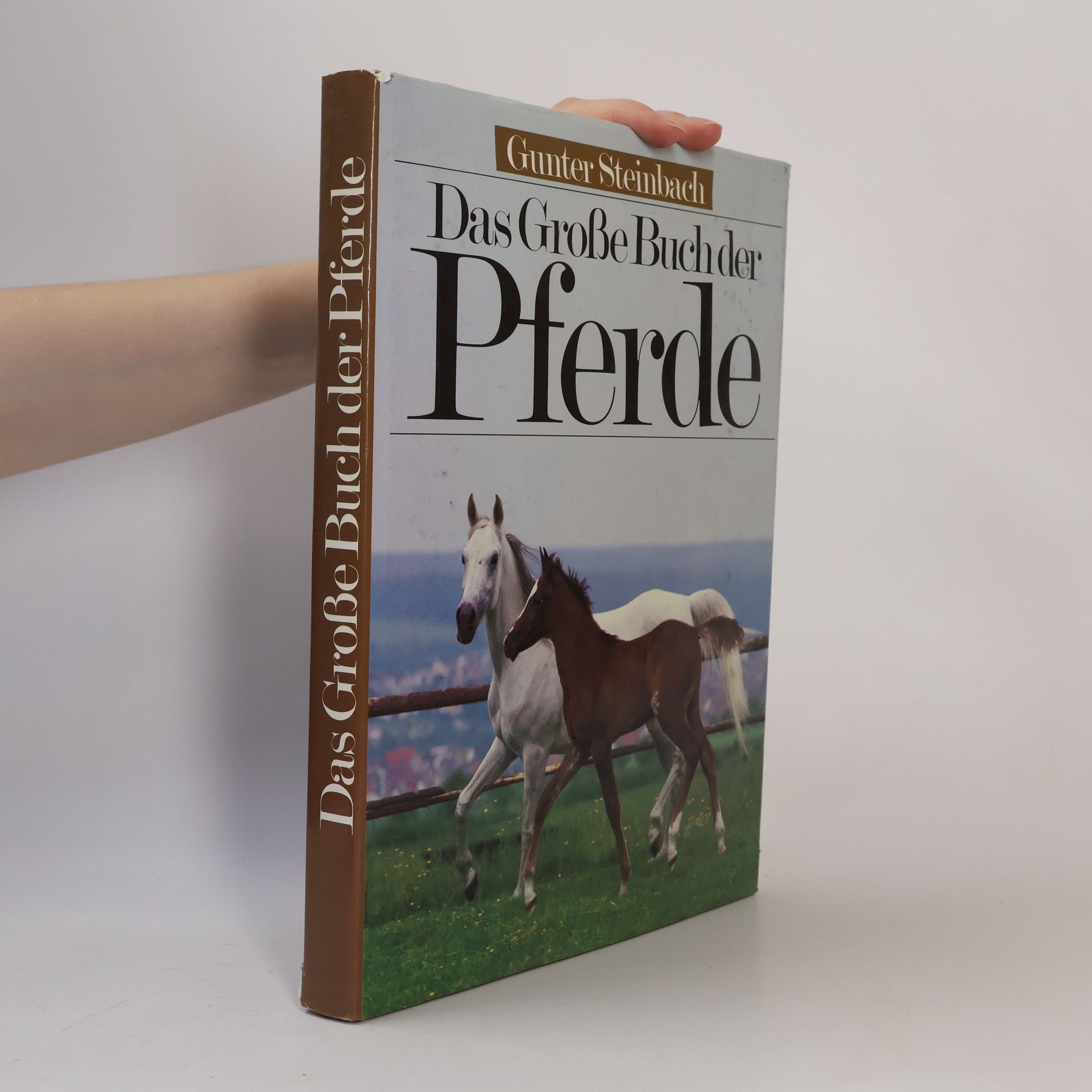 Gunter Steinbach Das Große Buch der Pferde