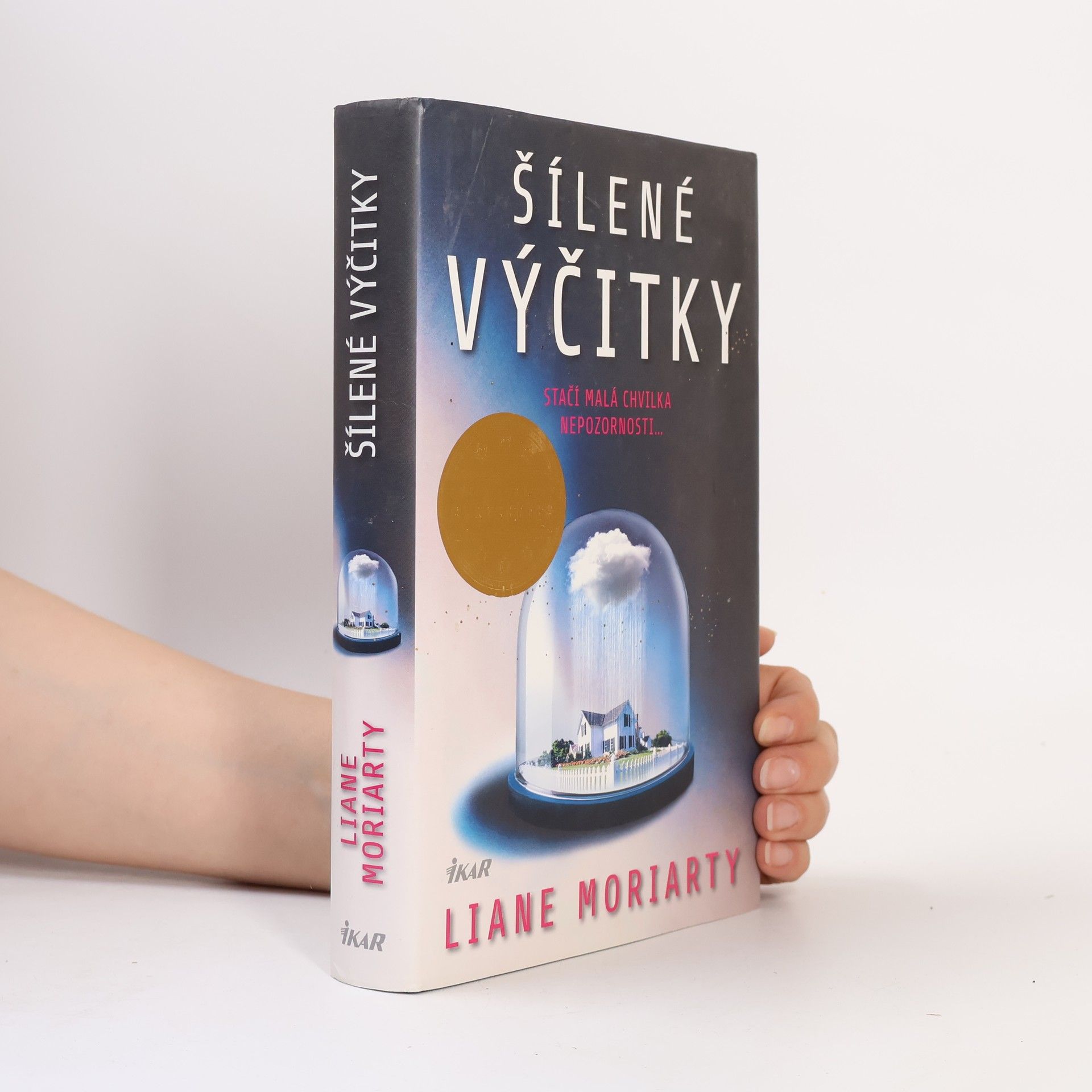 Liane Moriarty Šílené výčitky