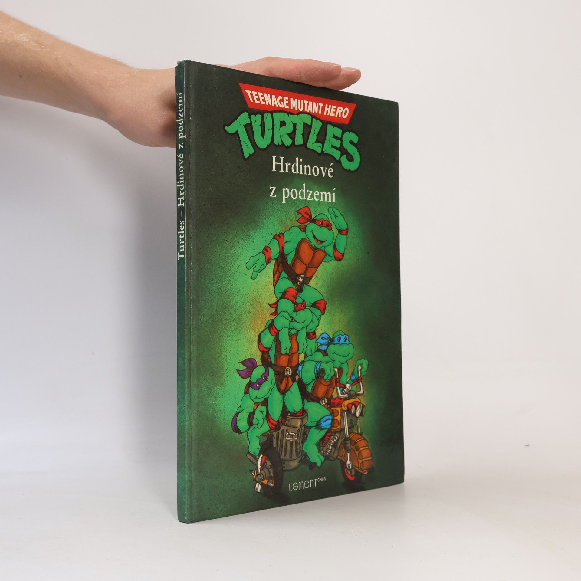 Maureen Spurgeon Teenage Mutant Ninja Turtles. Hrdinové z podzemí