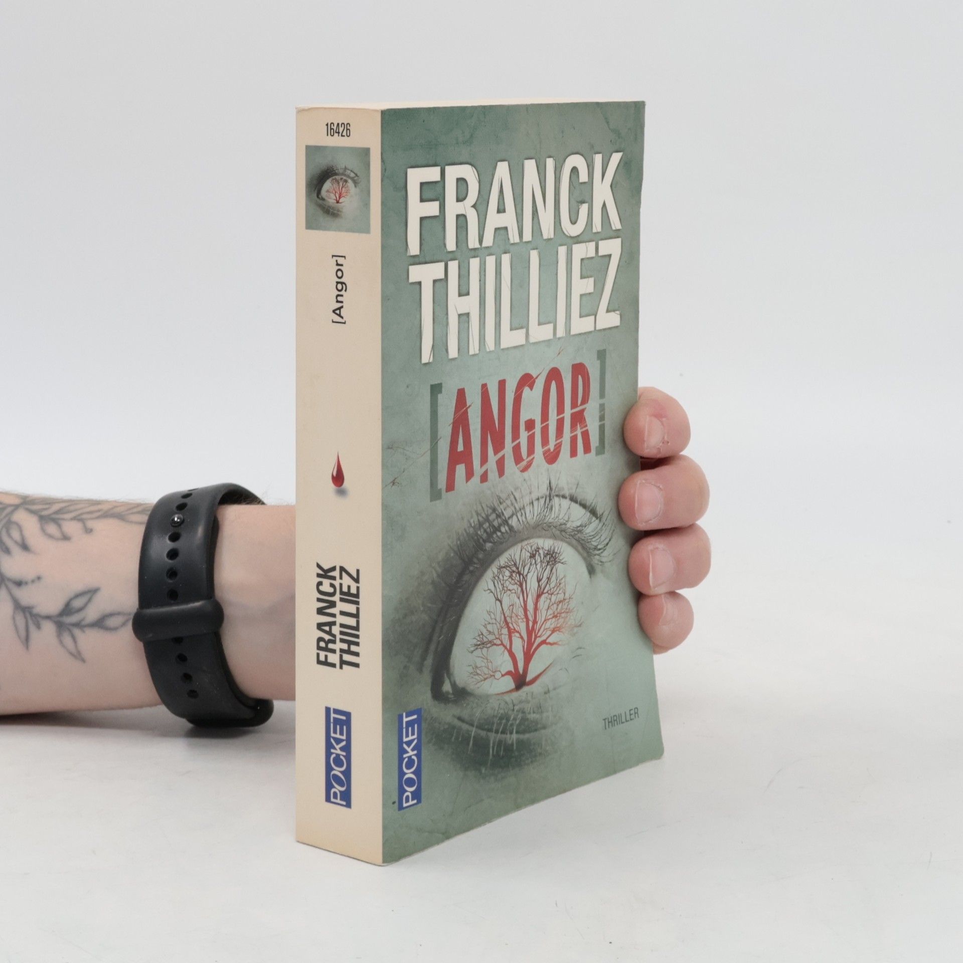 Franck Thilliez Angor