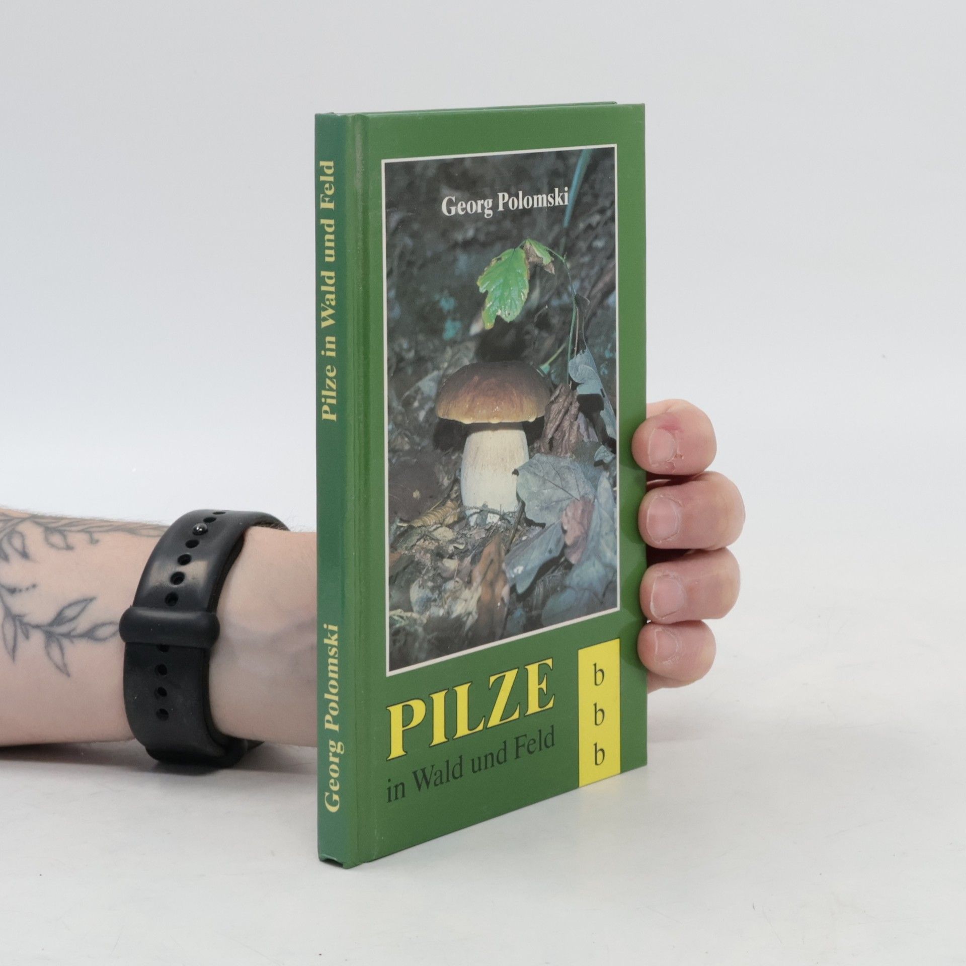 Georg Polomski Pilze in Wald und Feld