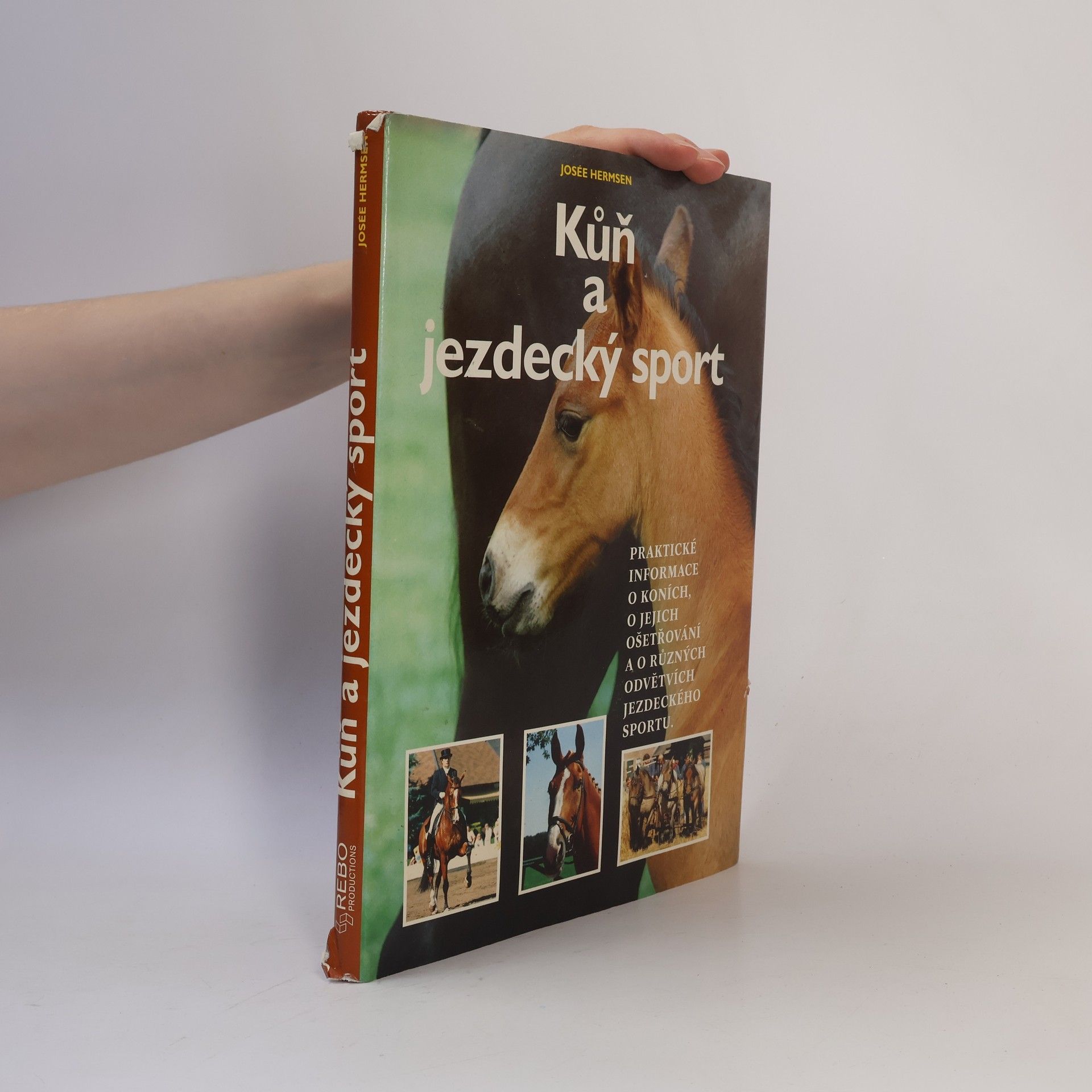 Josée Hermsen Kůň a jezdecký sport