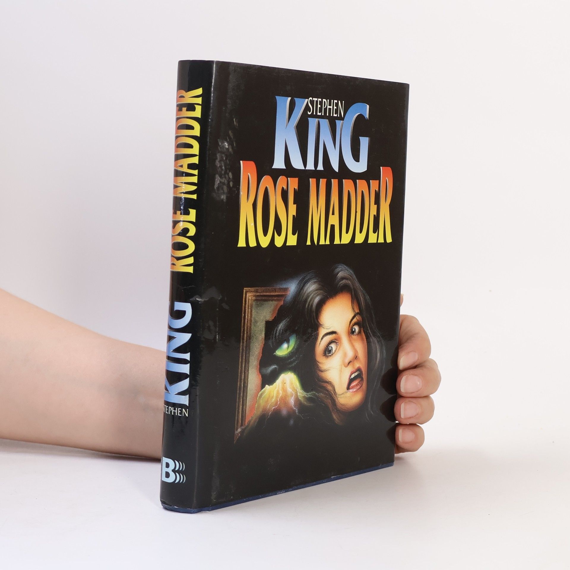 Stephen King Rose Madder