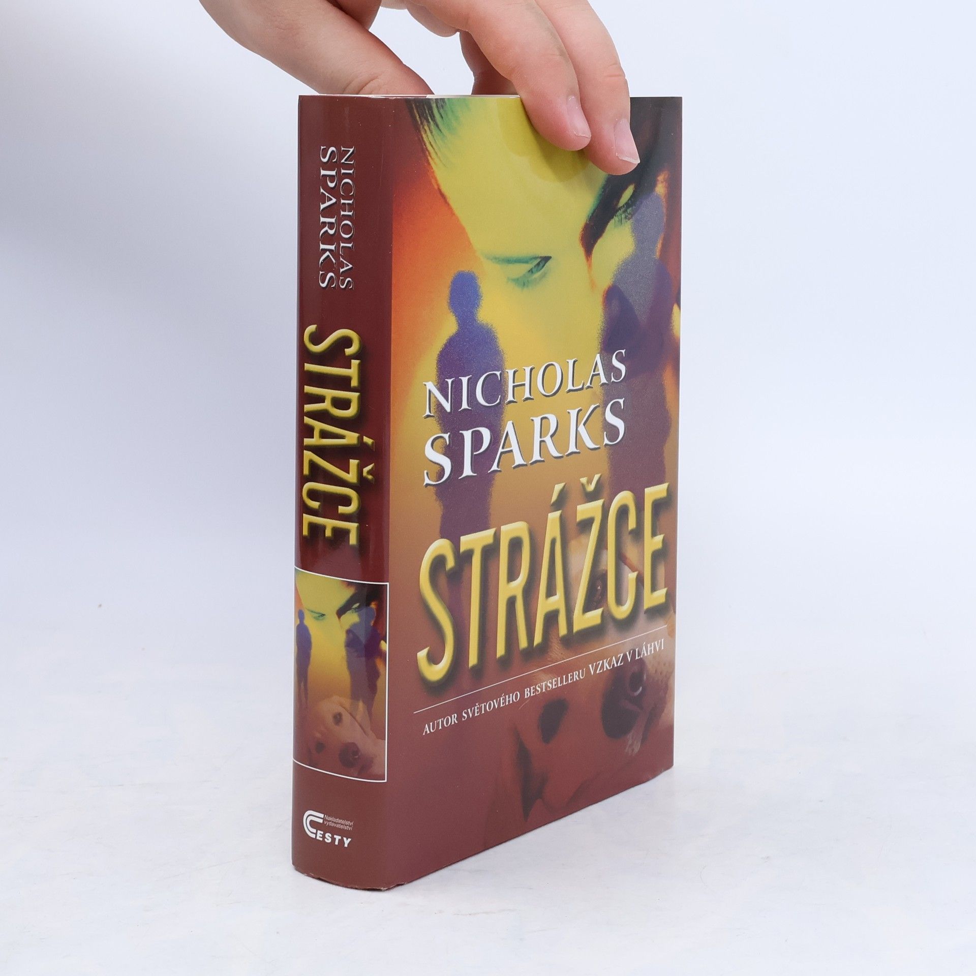Nicholas Sparks Strážce