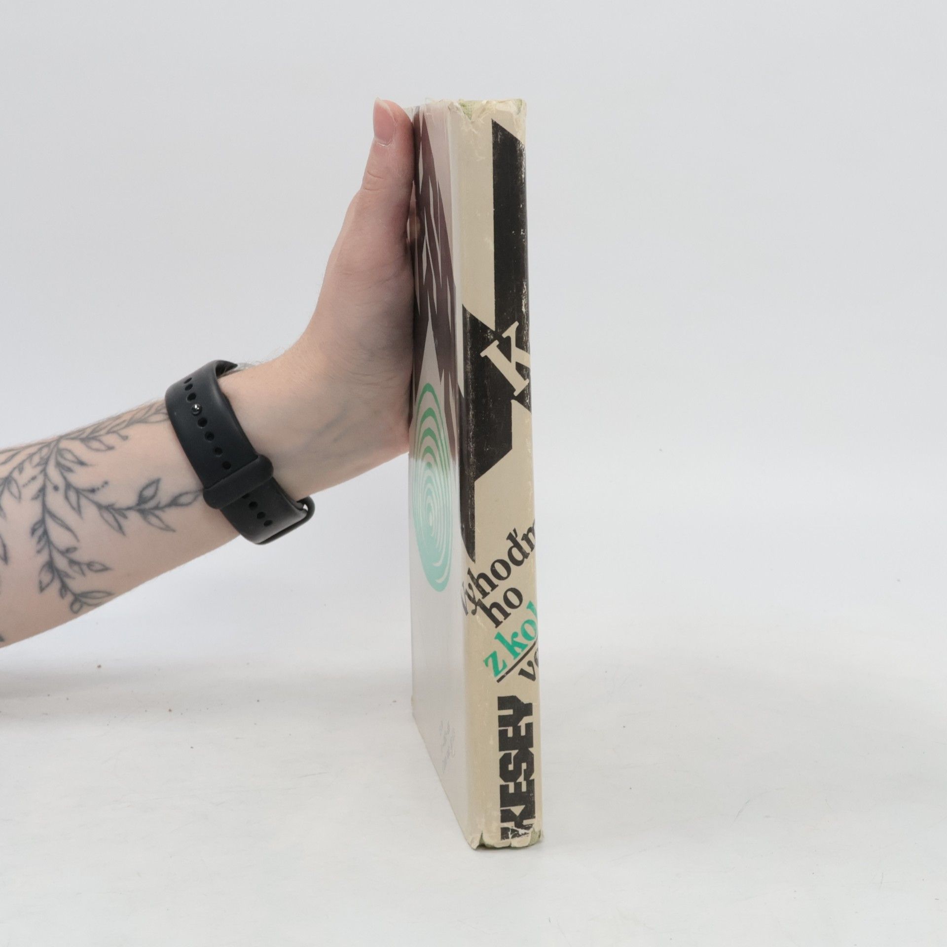 Ken Kesey Vyhoďme ho z kola ven