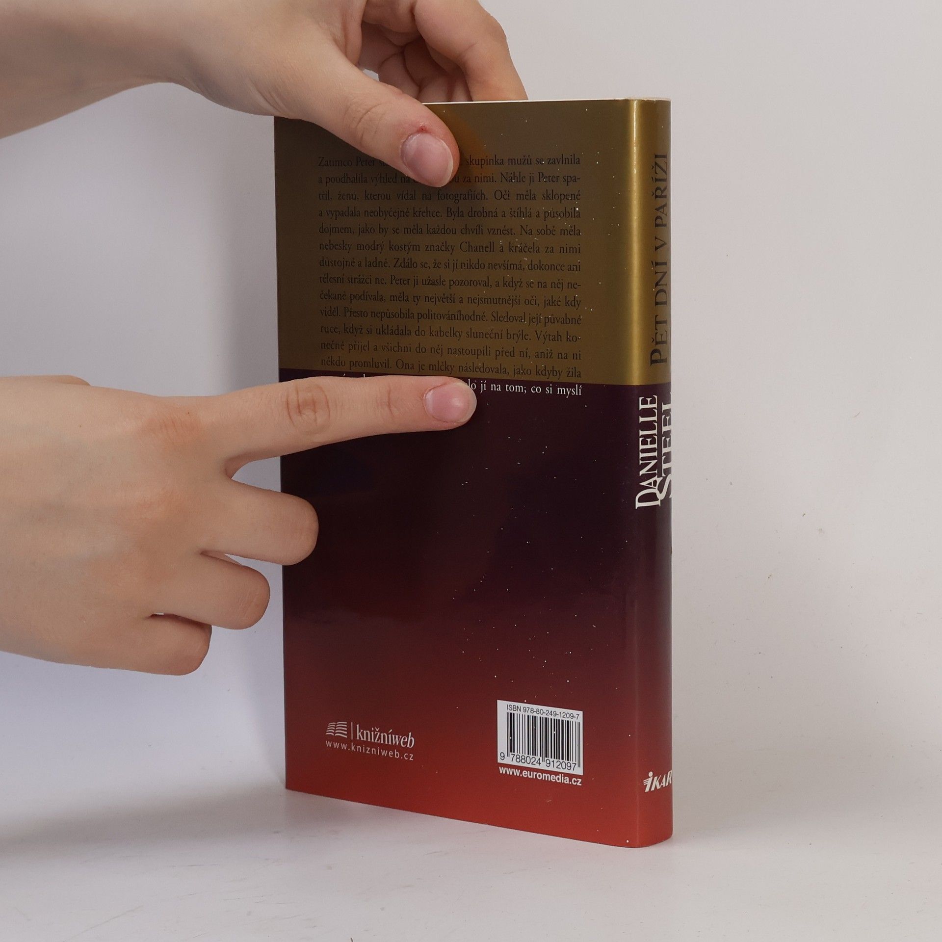 Danielle Steel Pět dní v Paříži