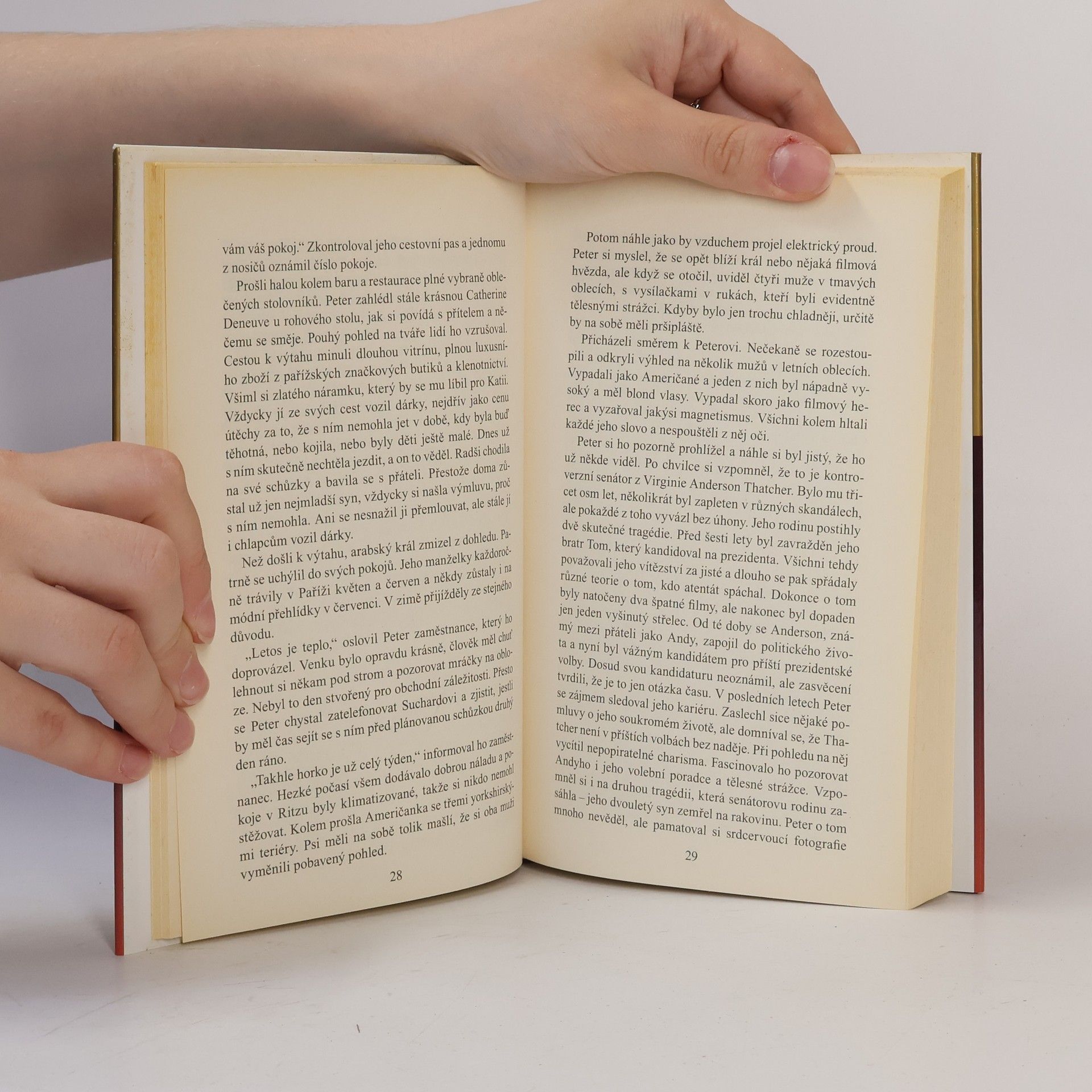 Danielle Steel Pět dní v Paříži