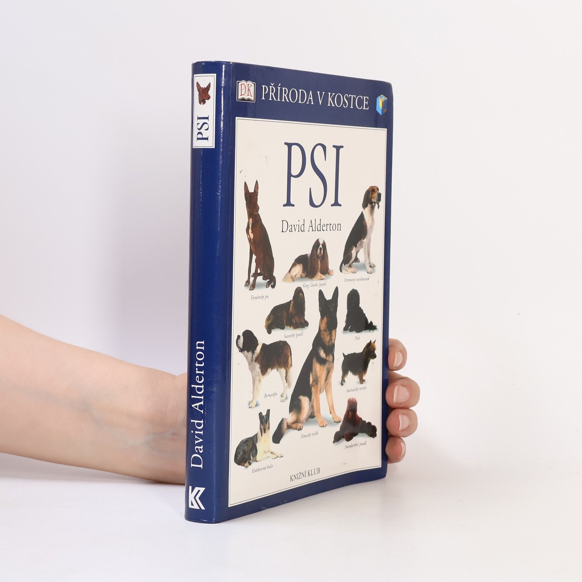 David Alderton Psi