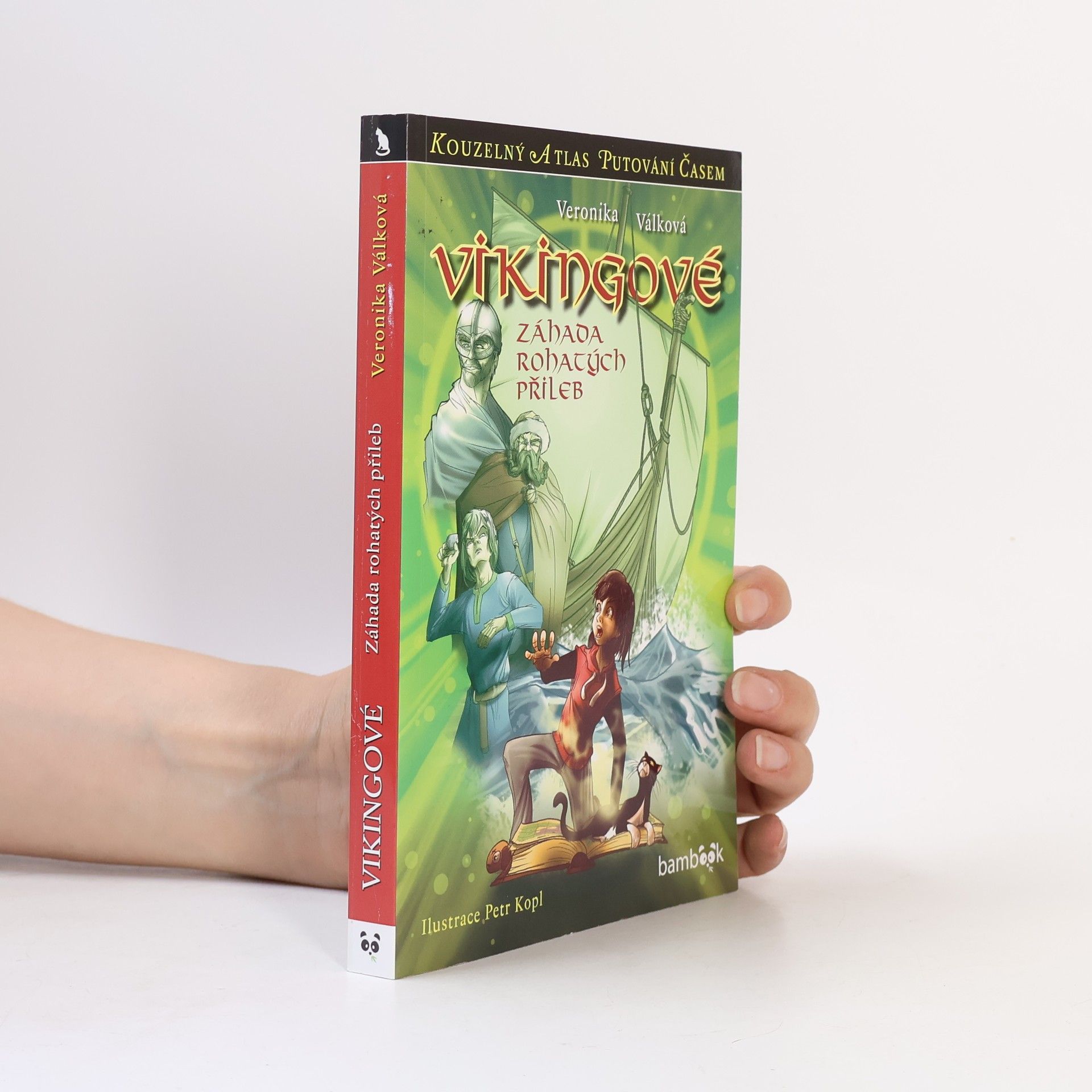 Vikingové : záhada rohatých přileb