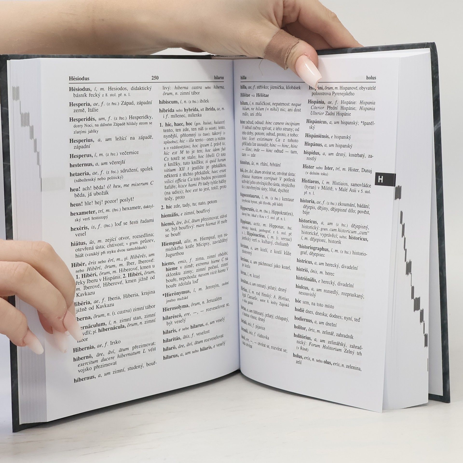 Autores varios Latinsko/český slovník