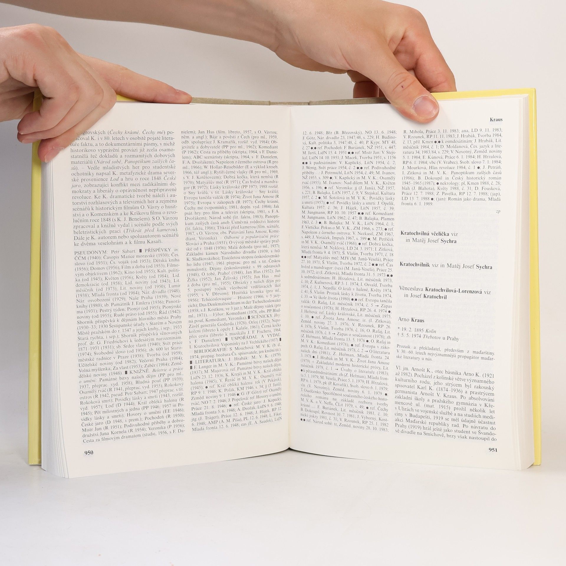 Autorenkollektiv Lexikon české literatury 2/II K-L