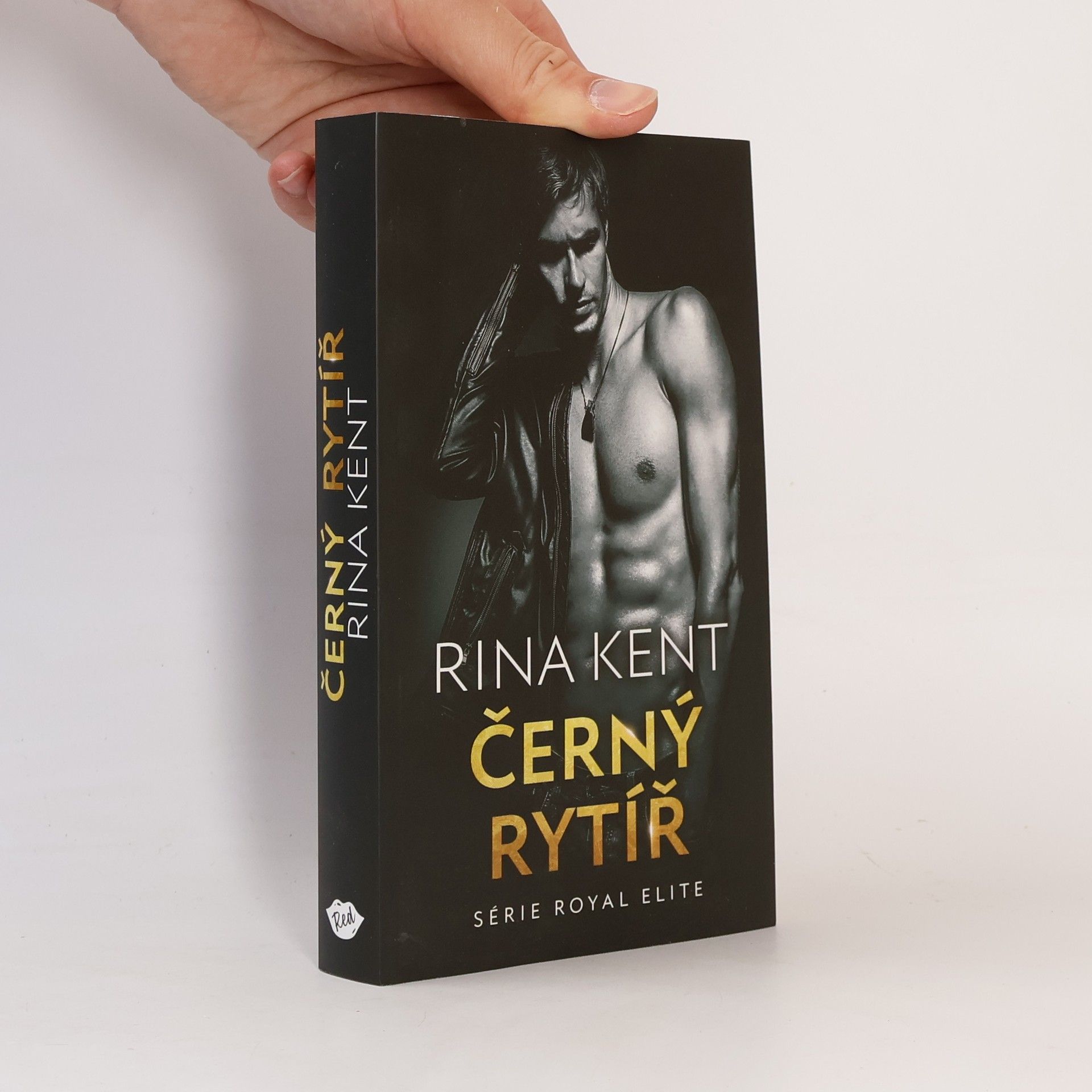 Rina Kent Černý rytíř