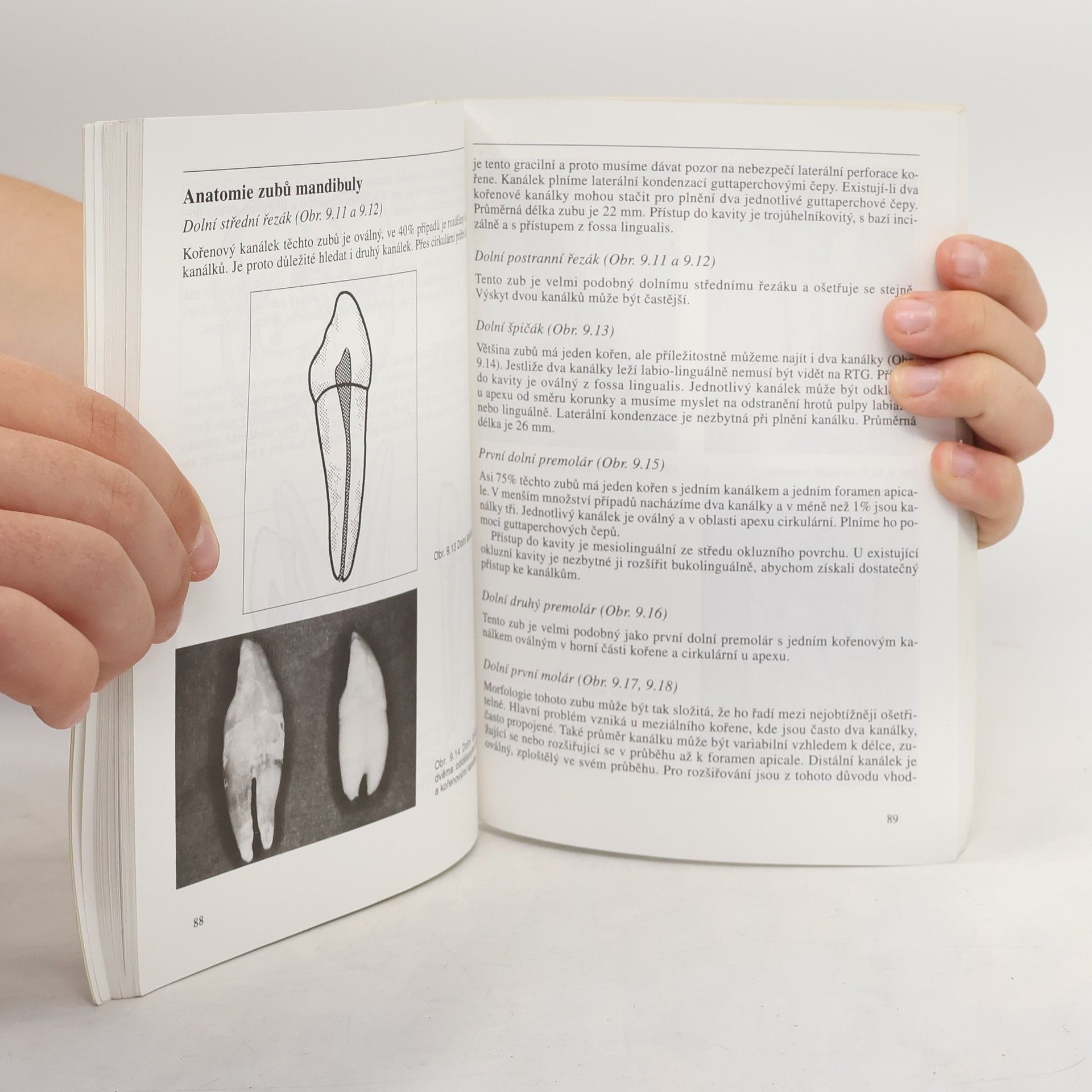J. M. Mumford Endodoncie, klinické postupy při ošetření