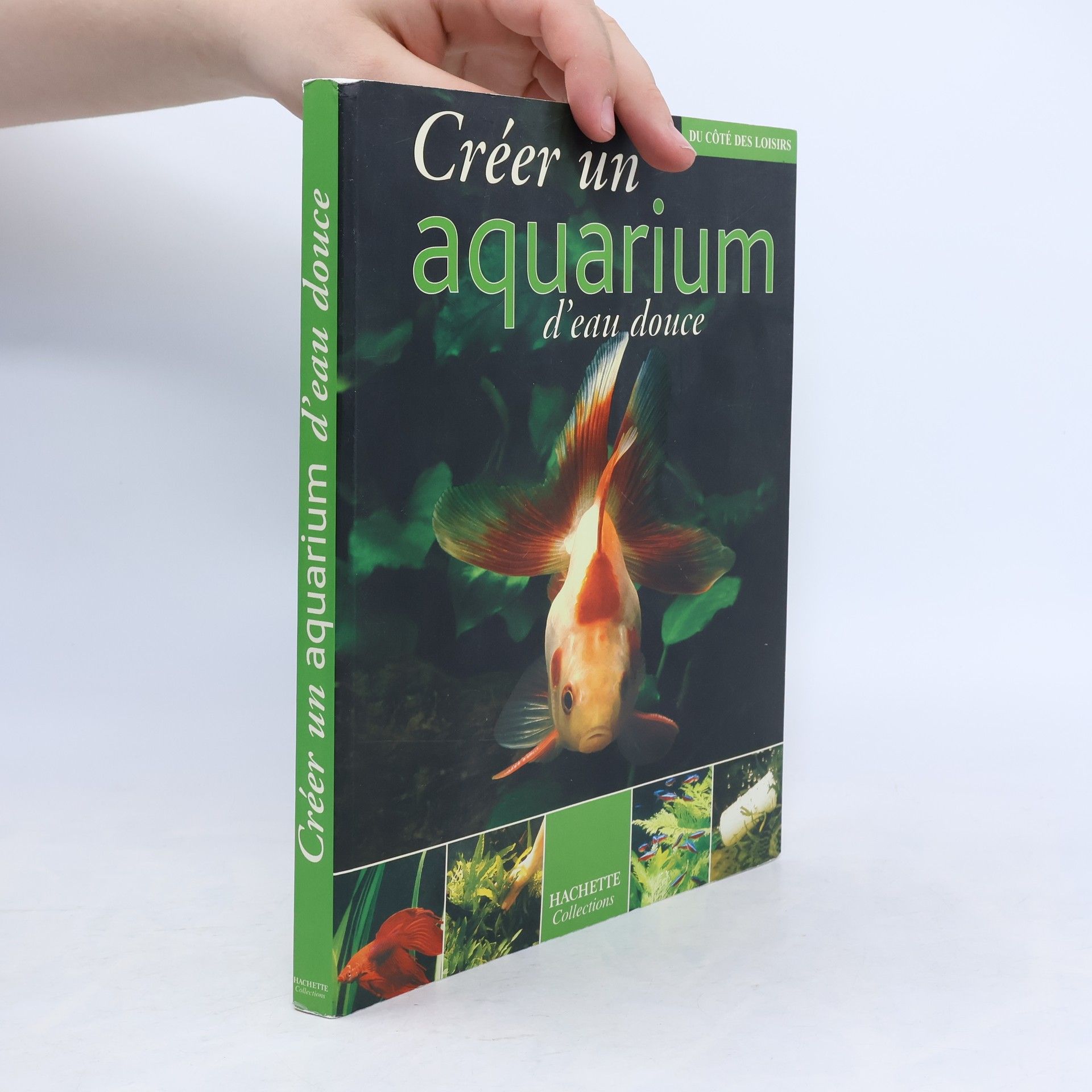 Gireg Allain Créer un aquarium d'eau douce