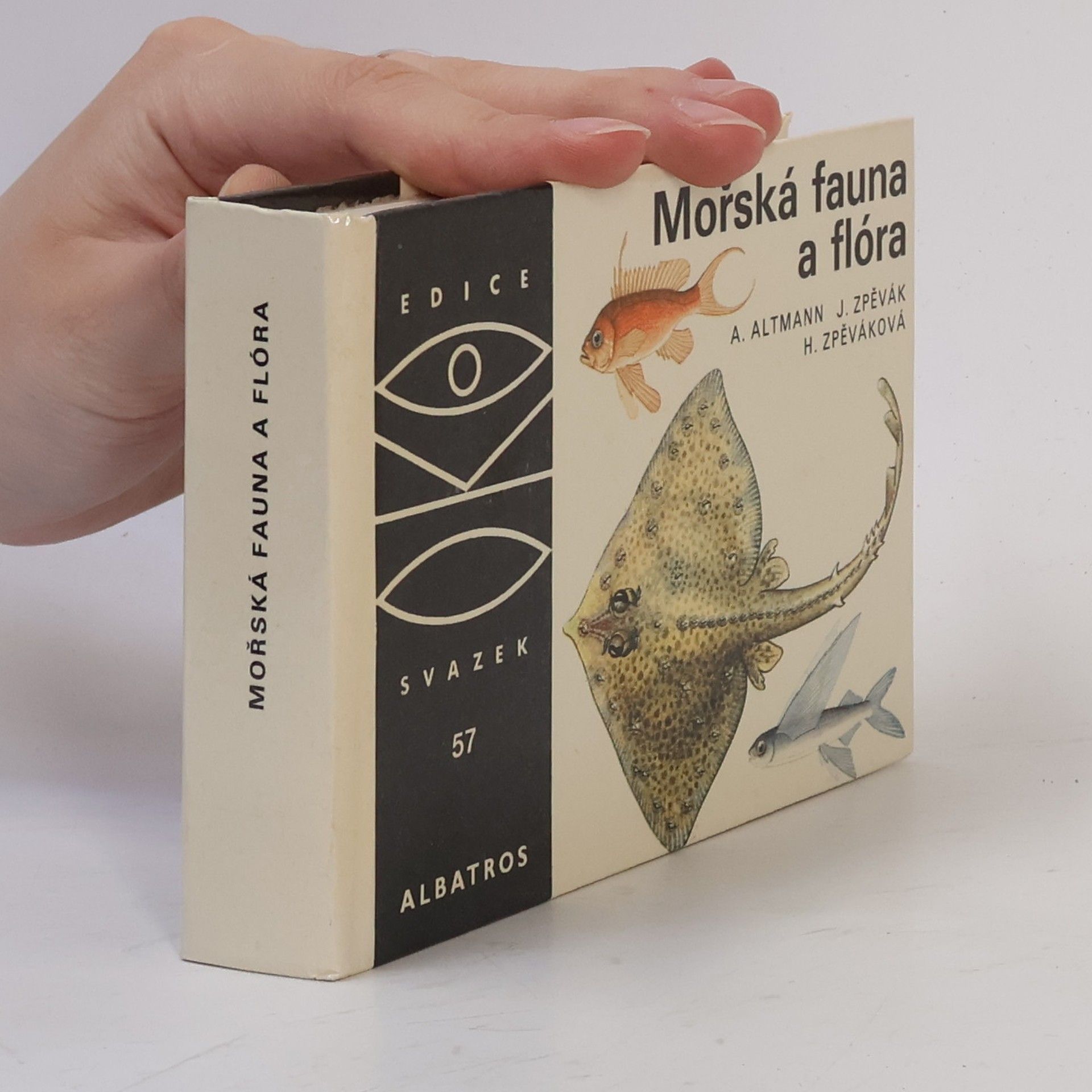 Antonín Altmann Mořská fauna a flóra