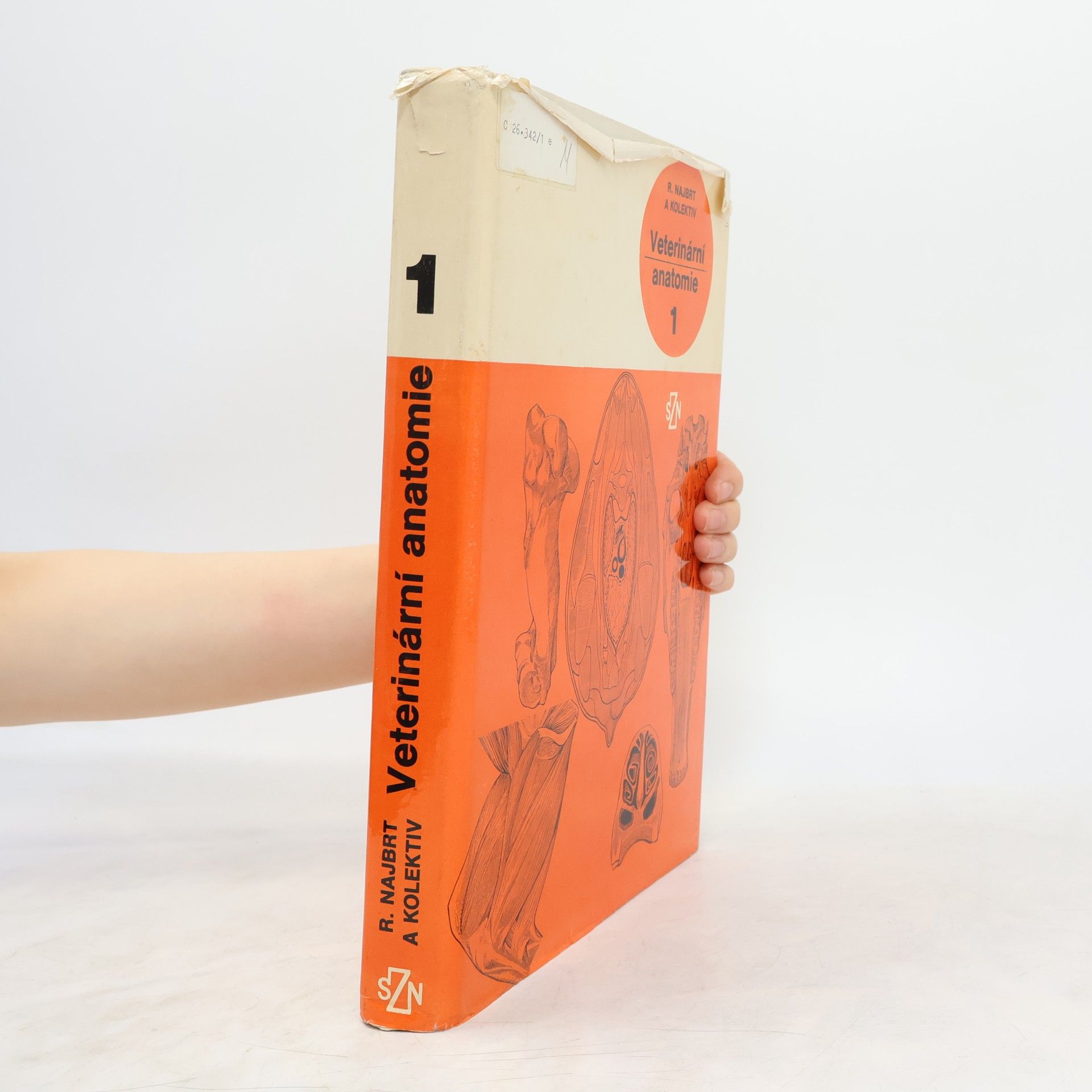 Collectif d'auteurs Veterinární anatomie 1