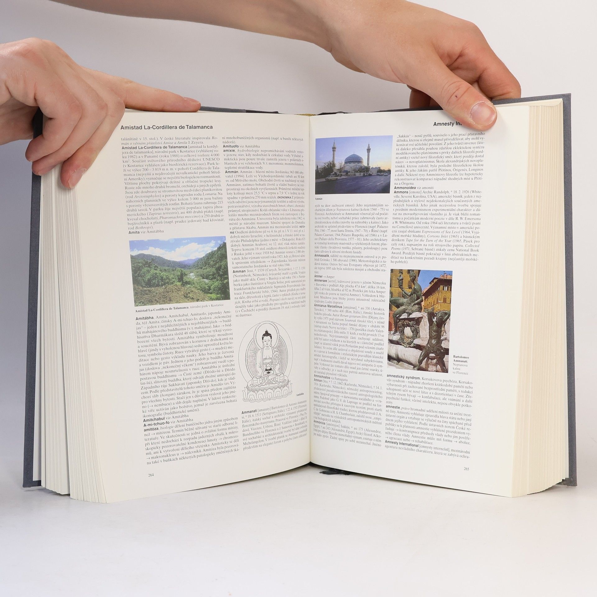 Collectif d'auteurs Velká všeobecná encyklopedie Diderot 1. a-bag