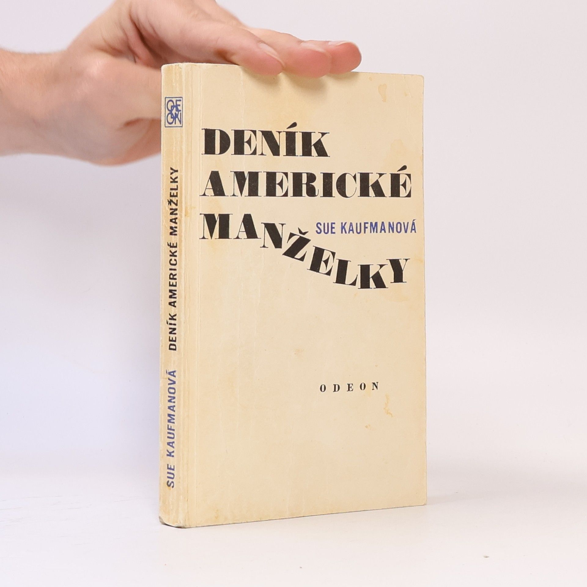 Sue Kaufman Deník americké manželky