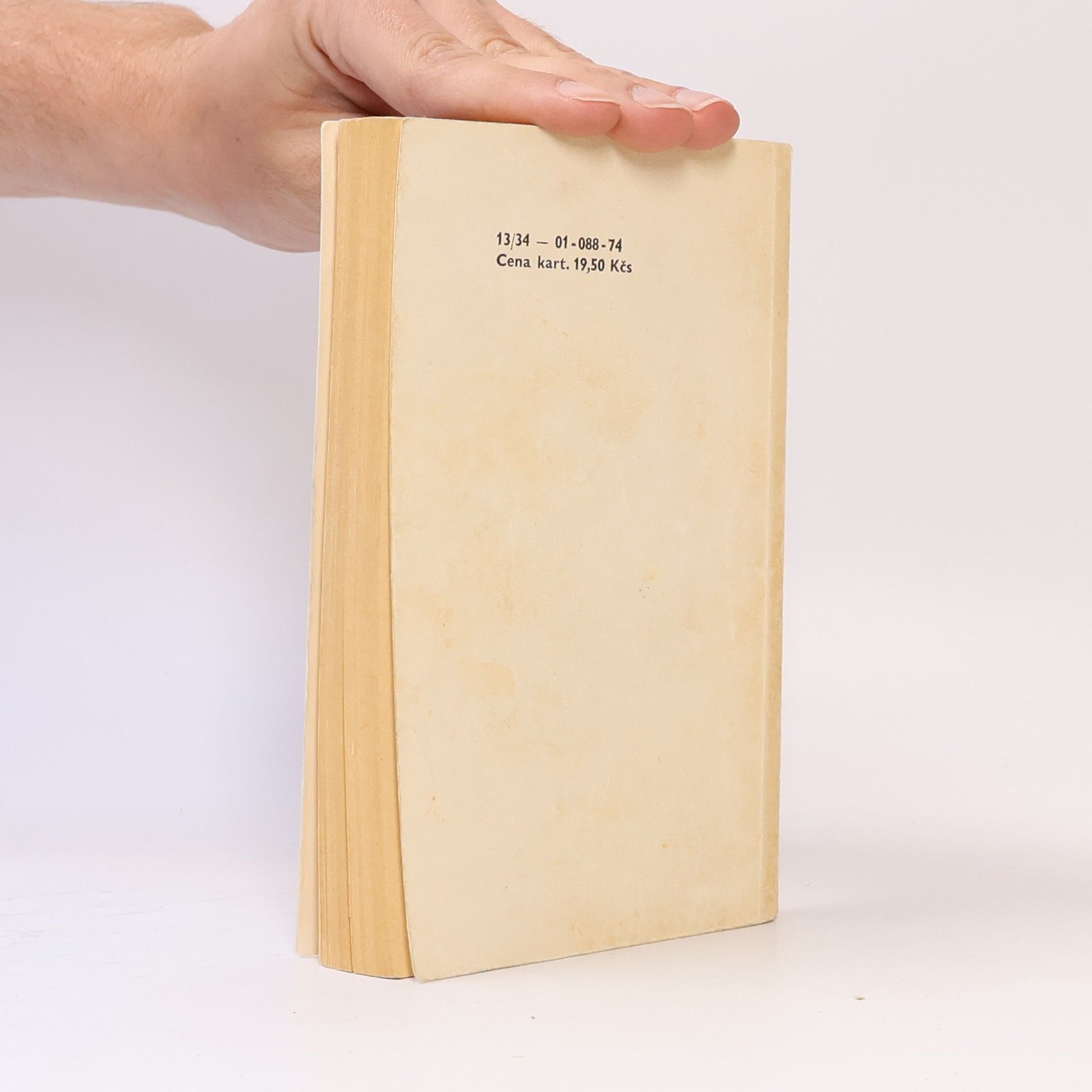 Sue Kaufman Deník americké manželky