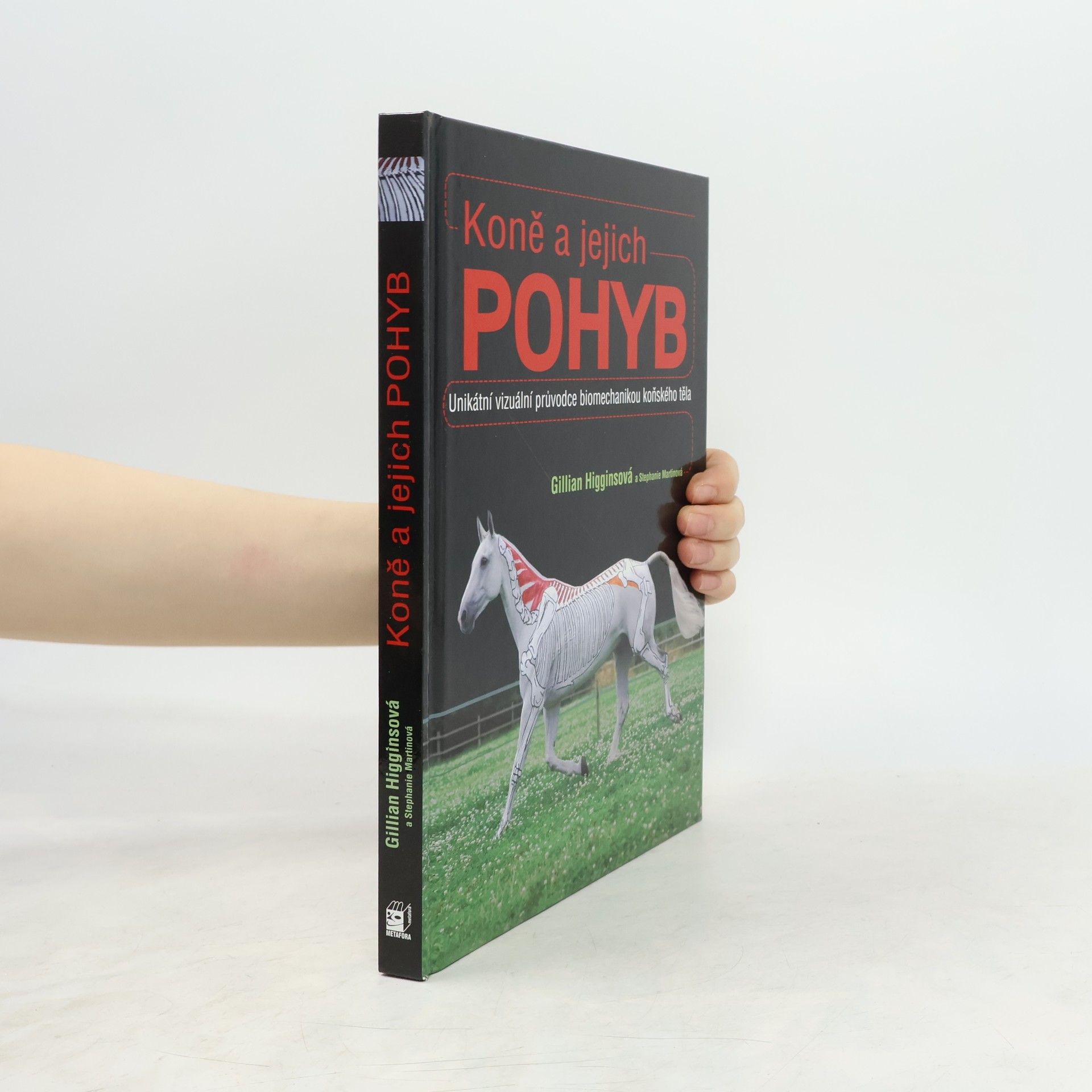 Koně a jejich pohyb