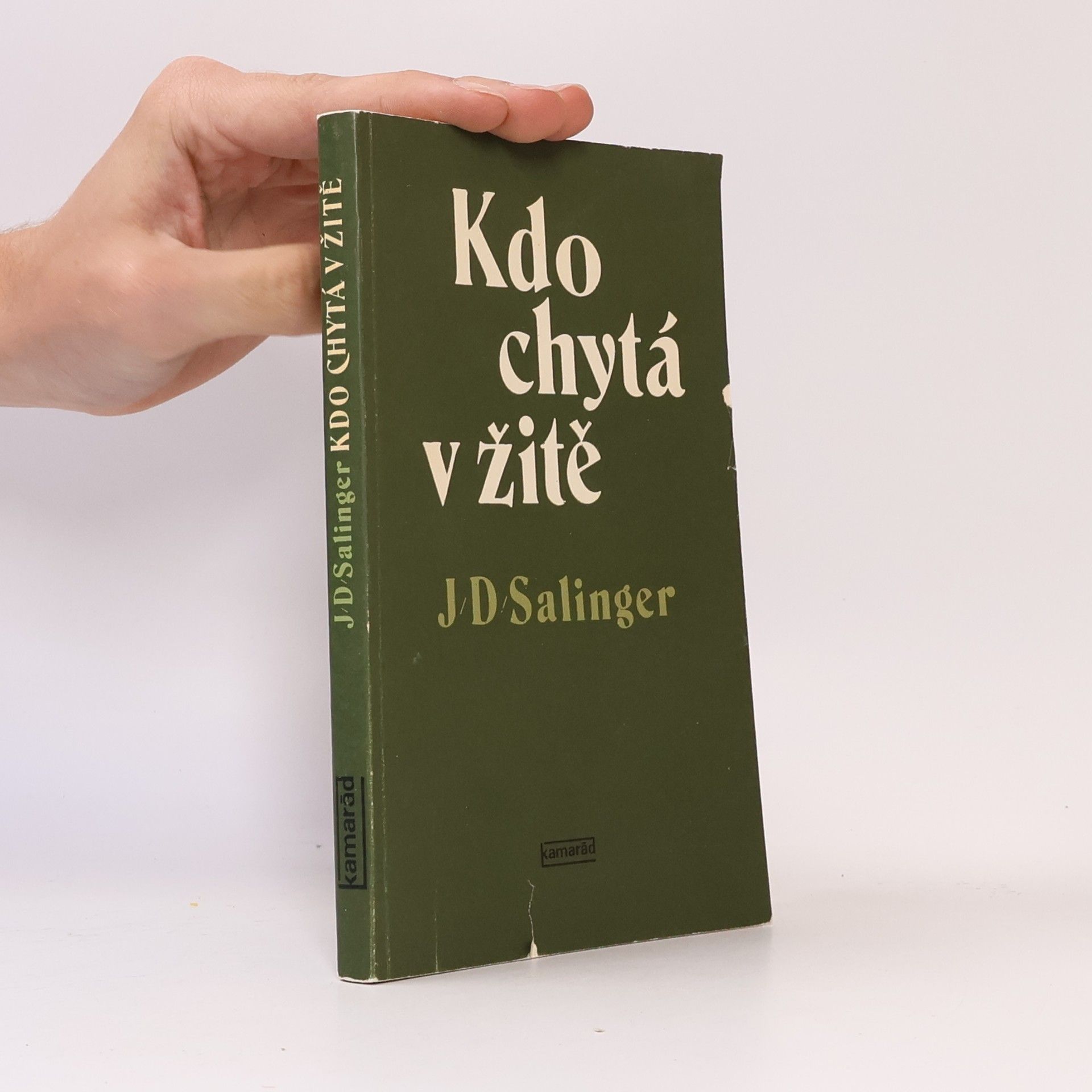 Jerome David Salinger Kdo chytá v žitě