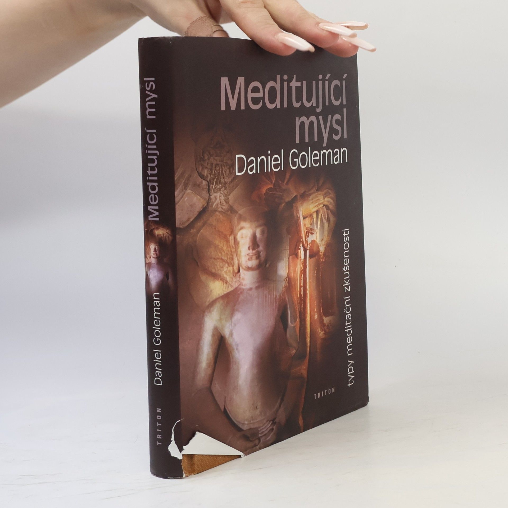 Jaroslav Vacek Meditující mysl : typy meditační zkušenosti