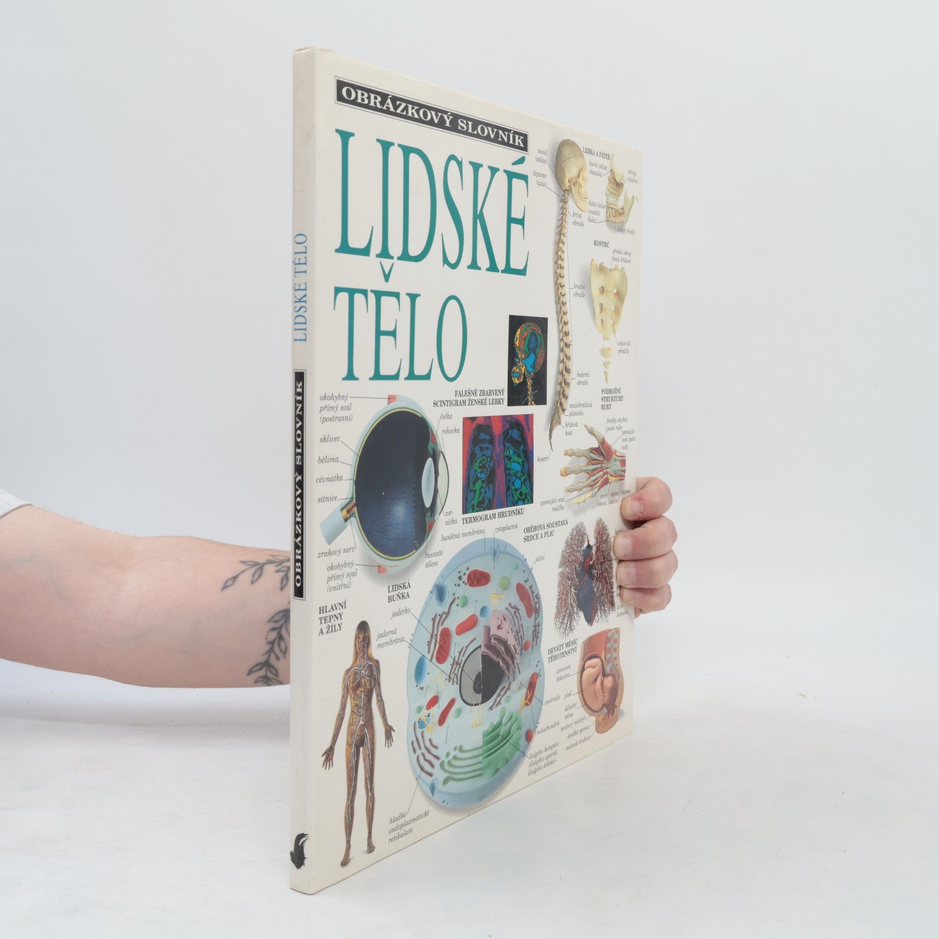 Jana Šedová Lidské tělo