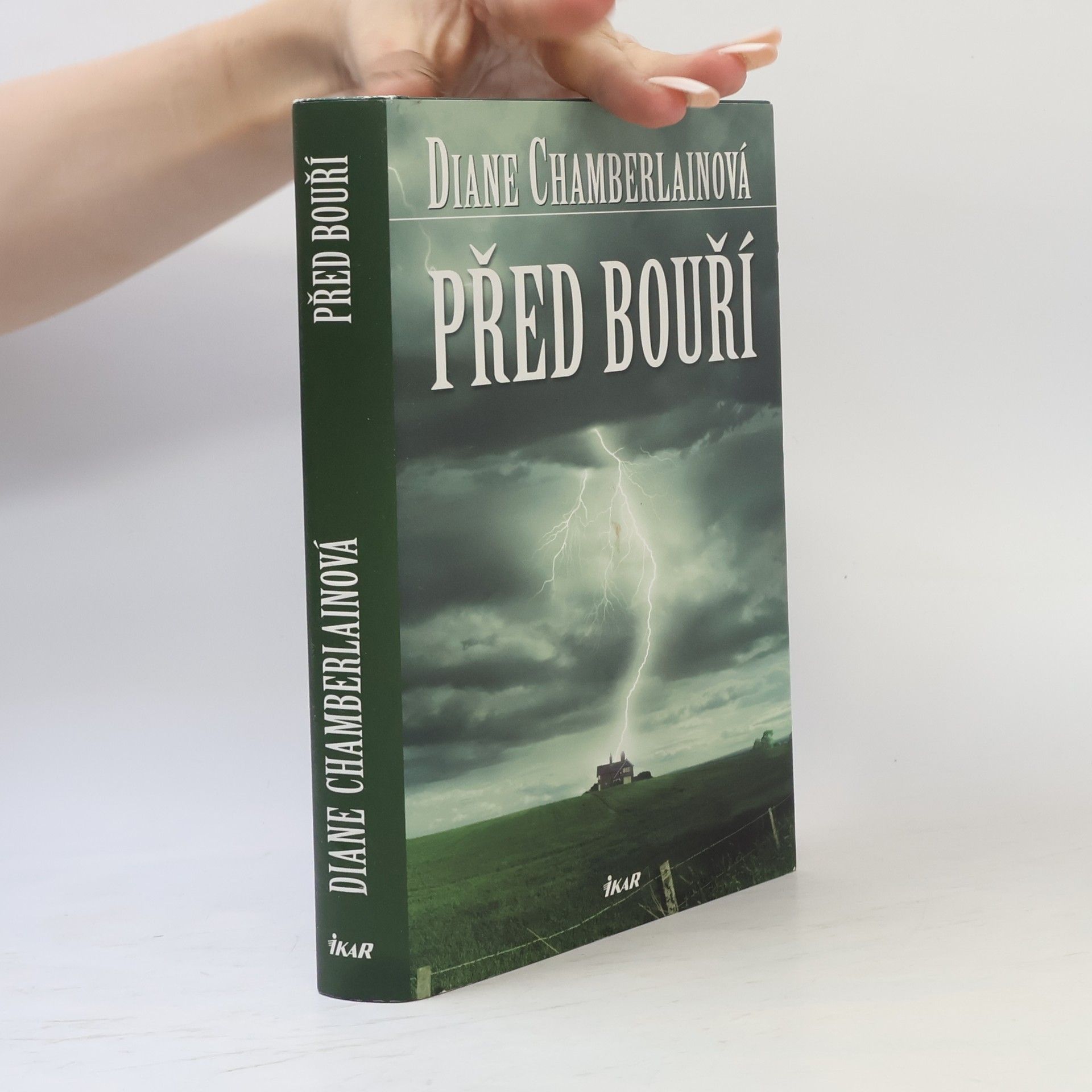Diane Chamberlain Před bouří