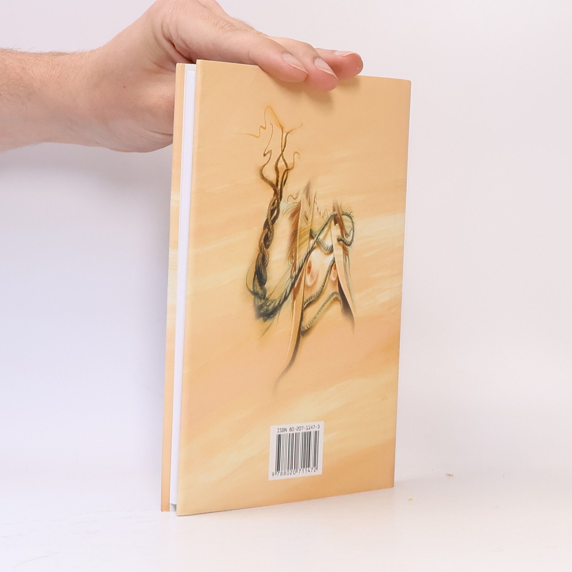 John Irving Manželství do 158 liber
