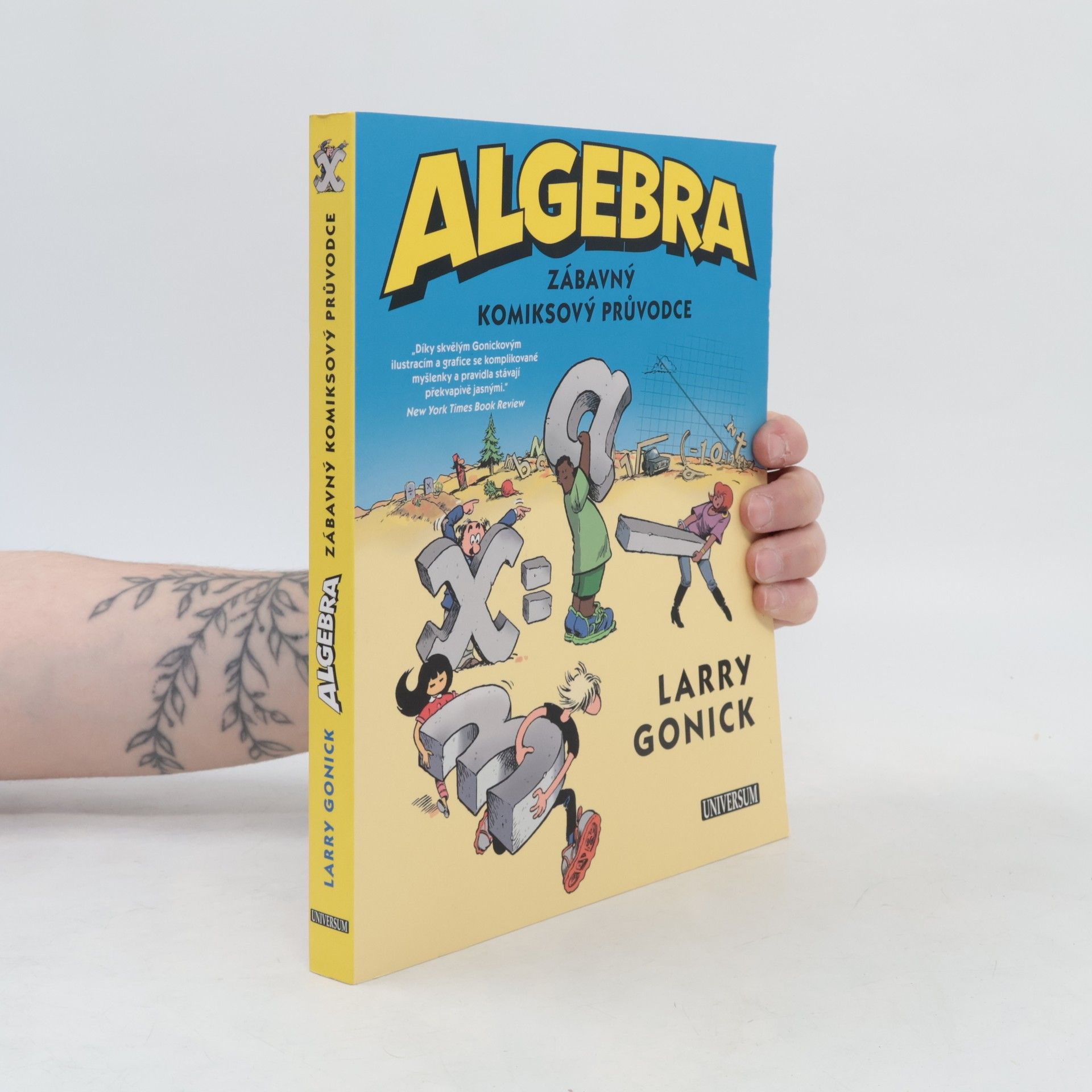 Larry Gonick Algebra. Zábavný komiksový průvodce
