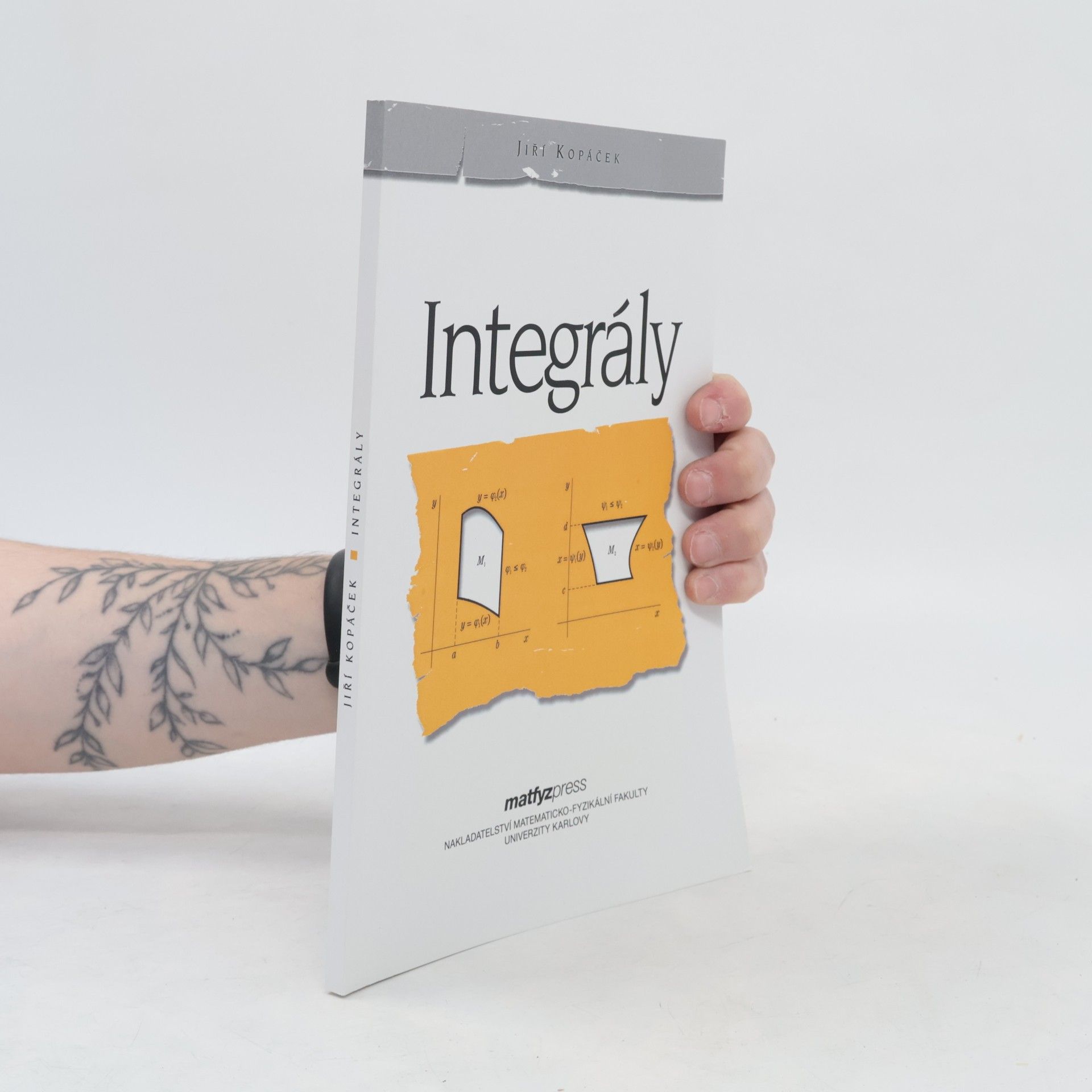 Jiří Kopáček Integrály