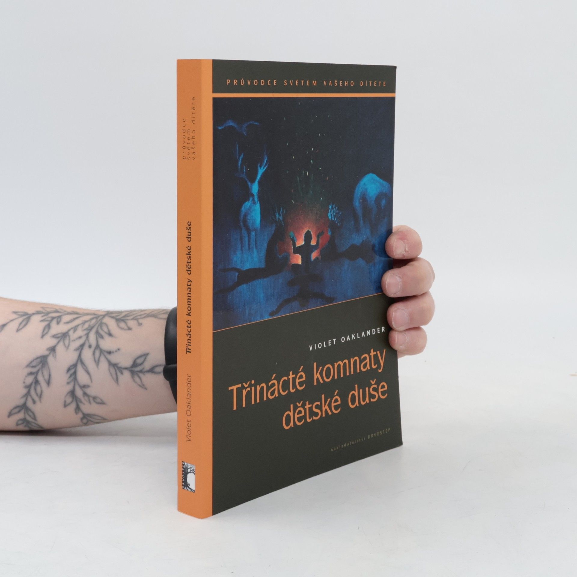 Violet Oaklander Třinácté komnaty dětské duše