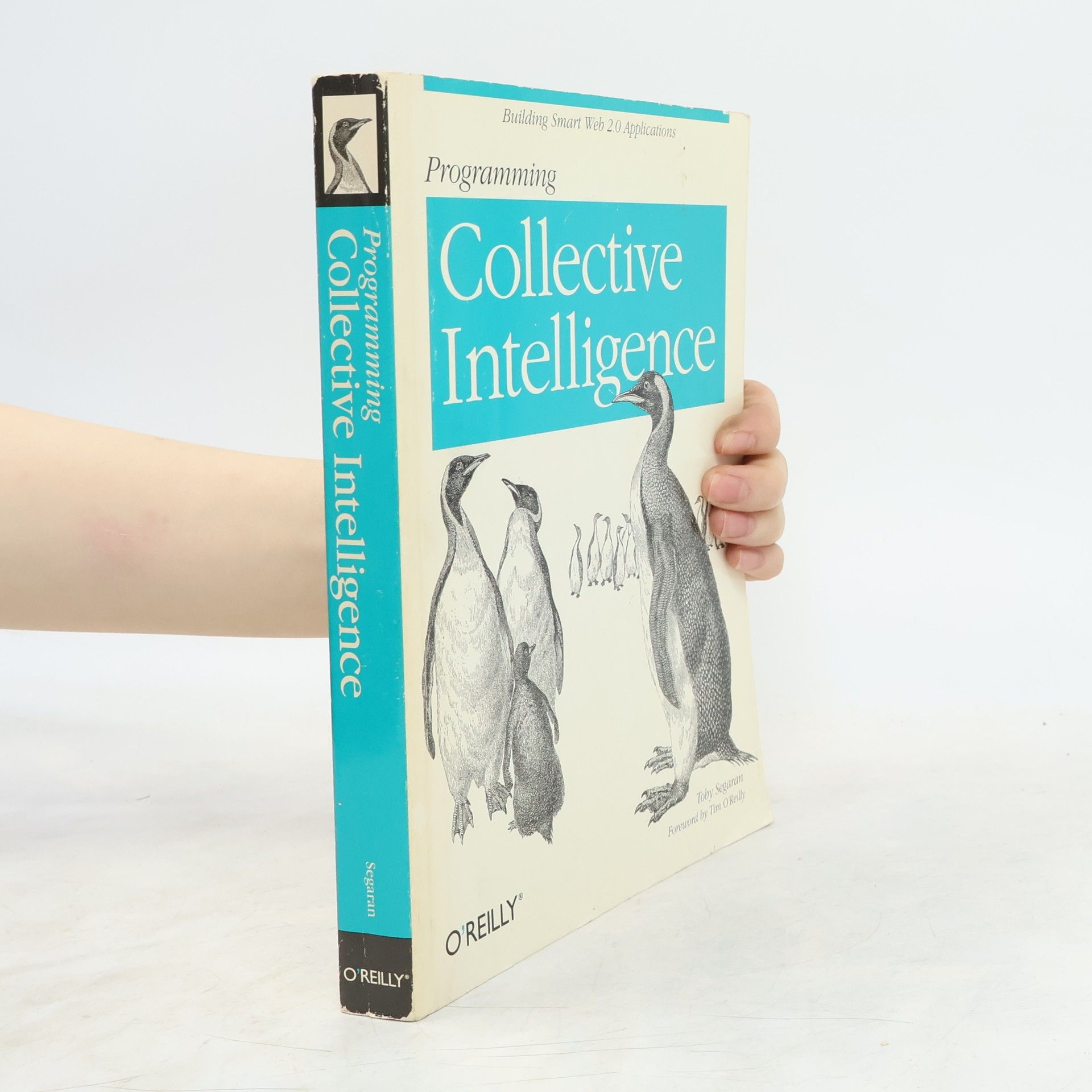 Toby Segaran Programming Collective Intelligence