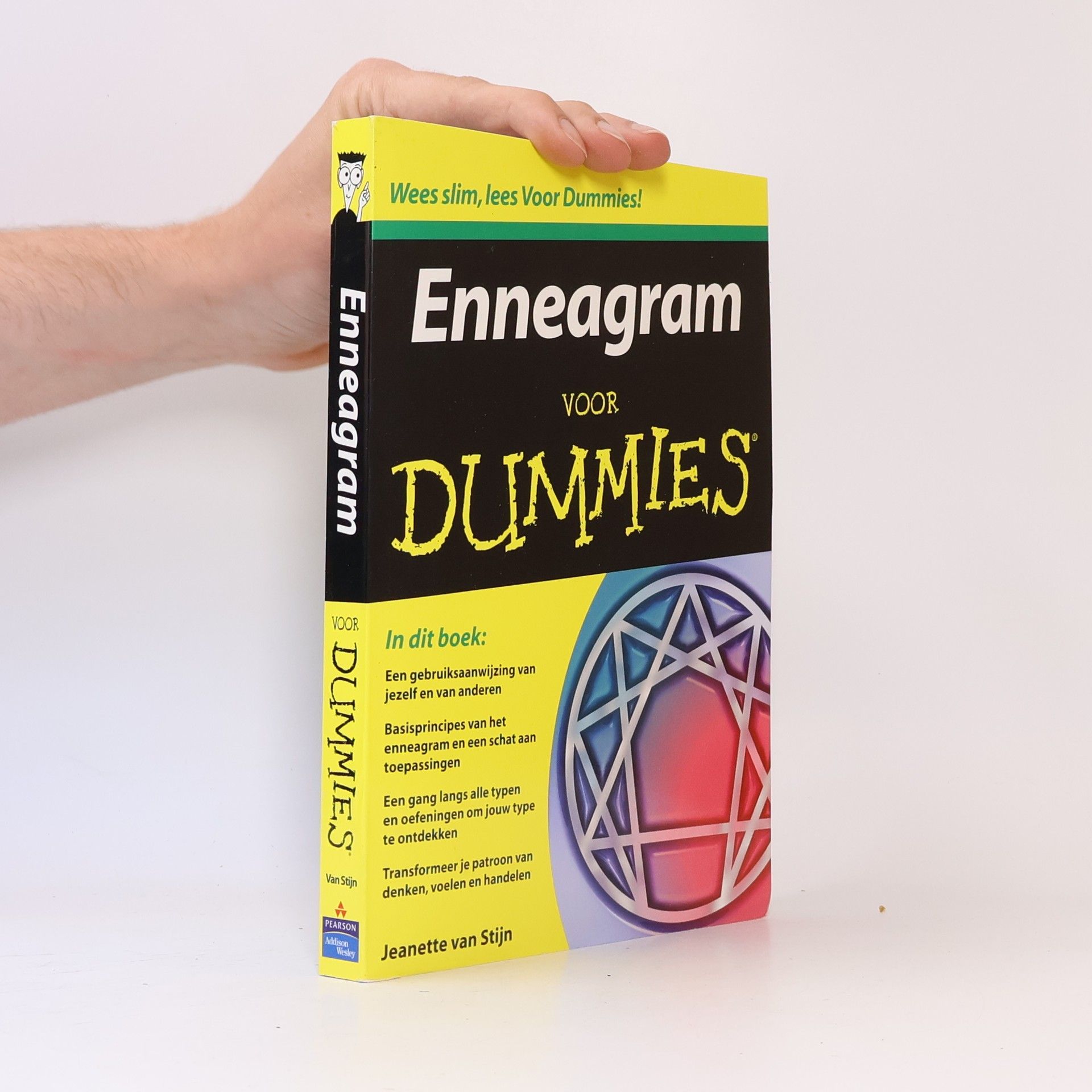 Jeanette van Stijn Enneagram voor Dummies
